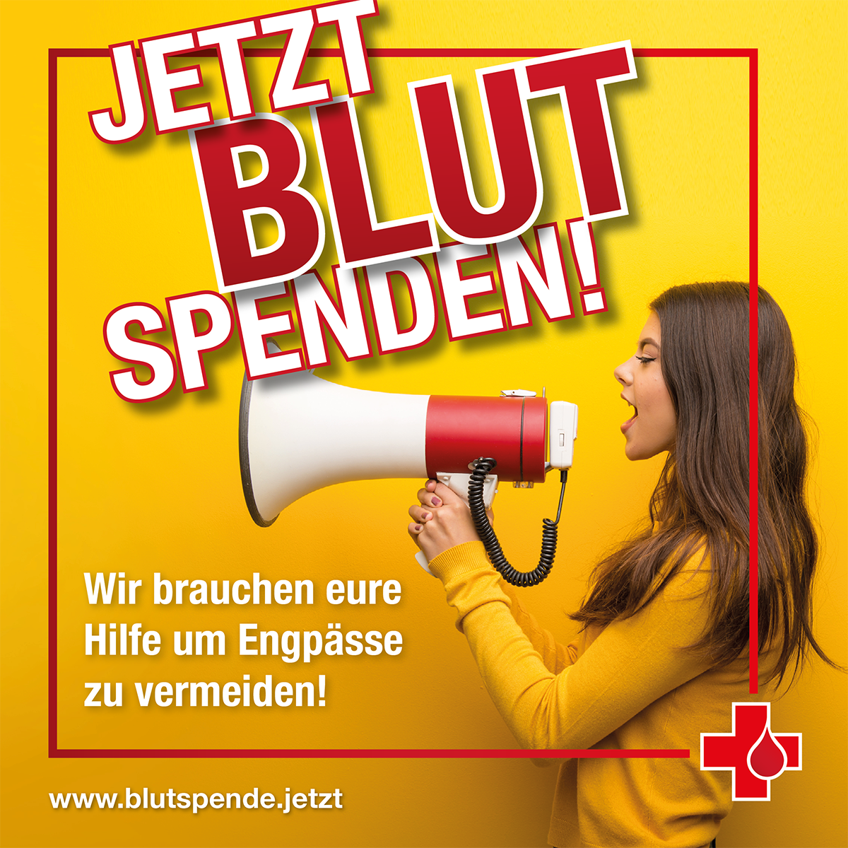 Blutspende in Allendorf