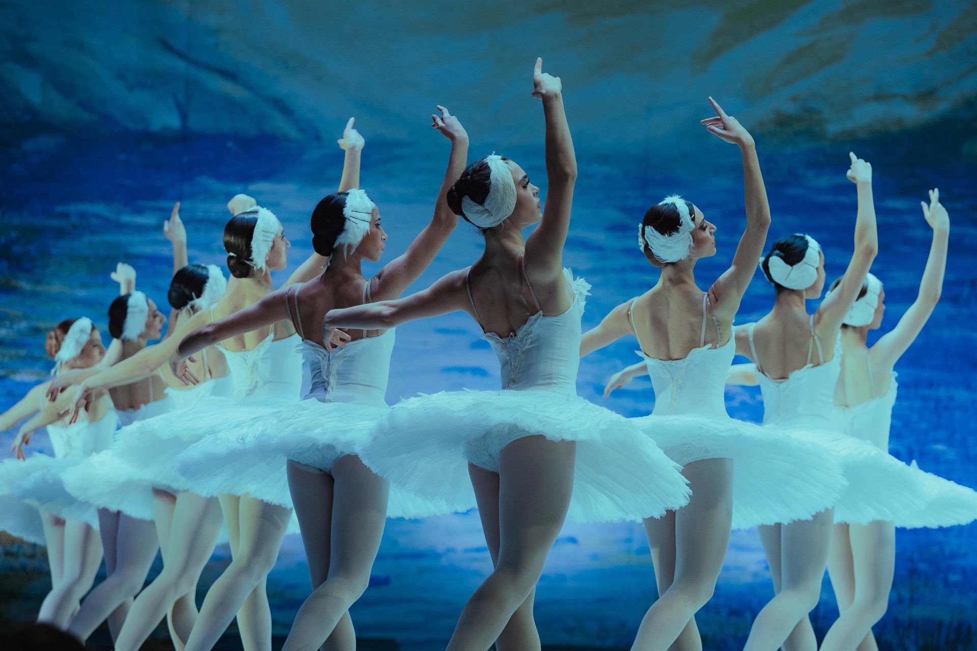 Schwanensee - Grand Classic Ballet