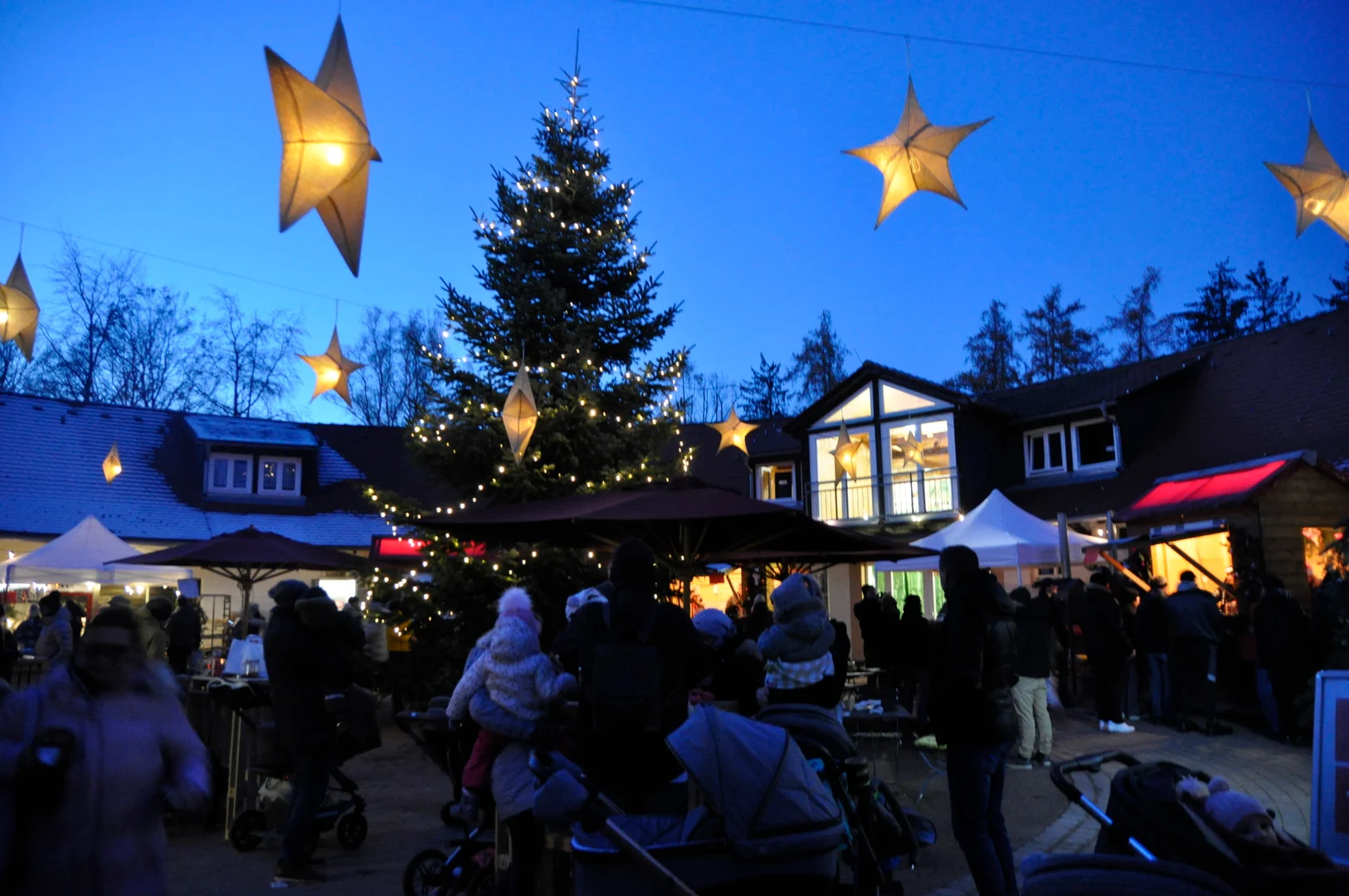 Adventszauber im Wildpark Schwarzach