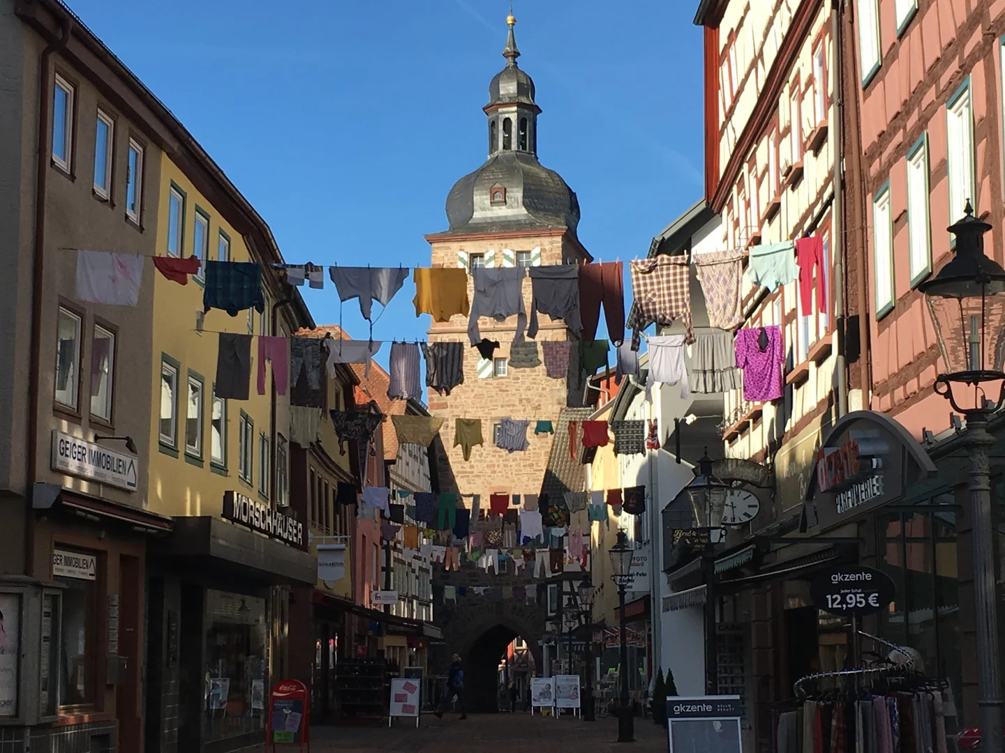 Gänsmarsch Buchen