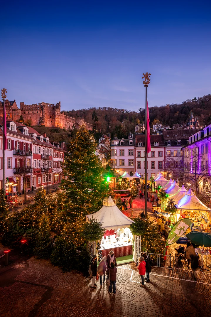 Winterwäldchen auf dem Kornmarkt in Heidelberg