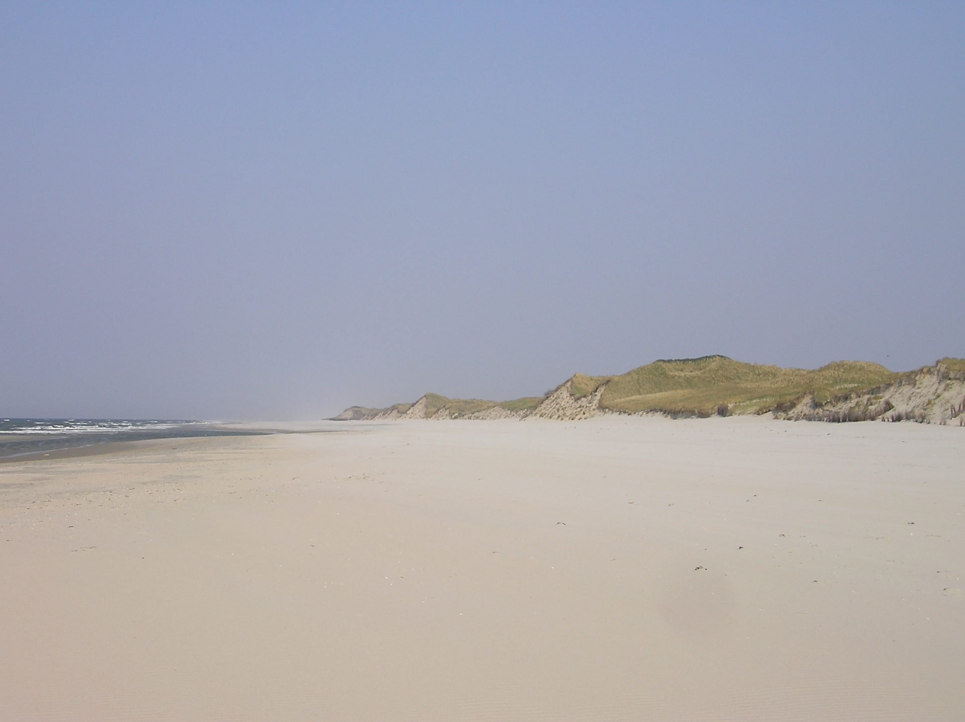 Familienspaß am Juister Strand - mit spielerischen Aktionen Tiere und Pflanzen der Nordsee kennenlernen