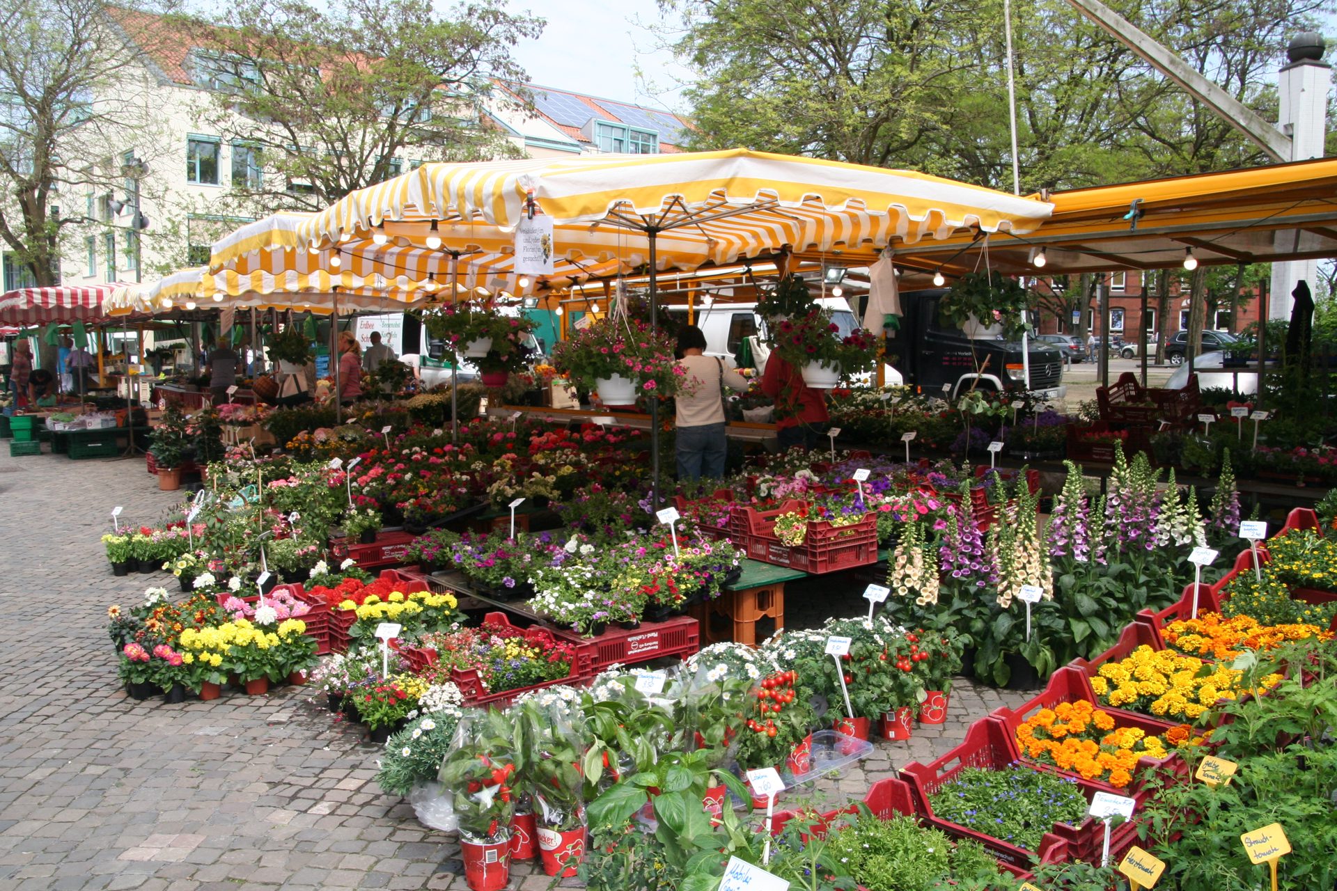 Achimer Wochenmarkt