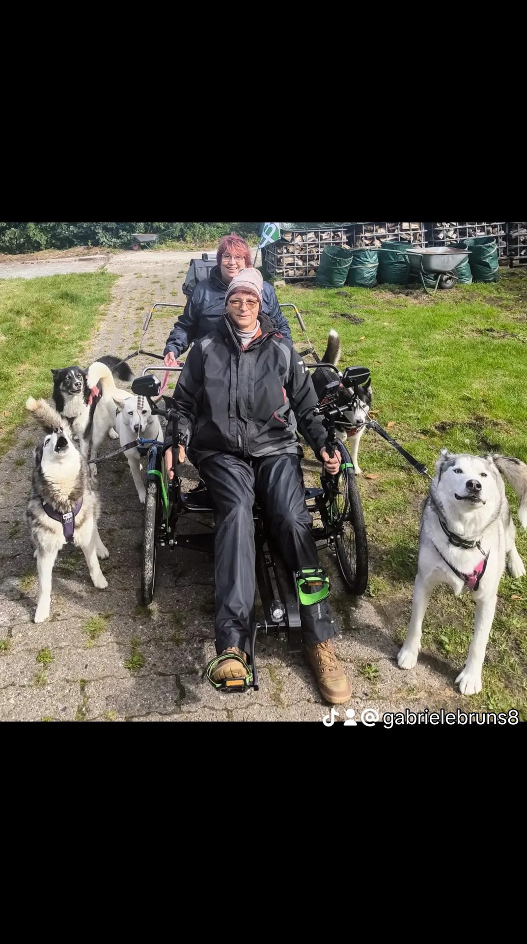 Lerne die Huskys kennen