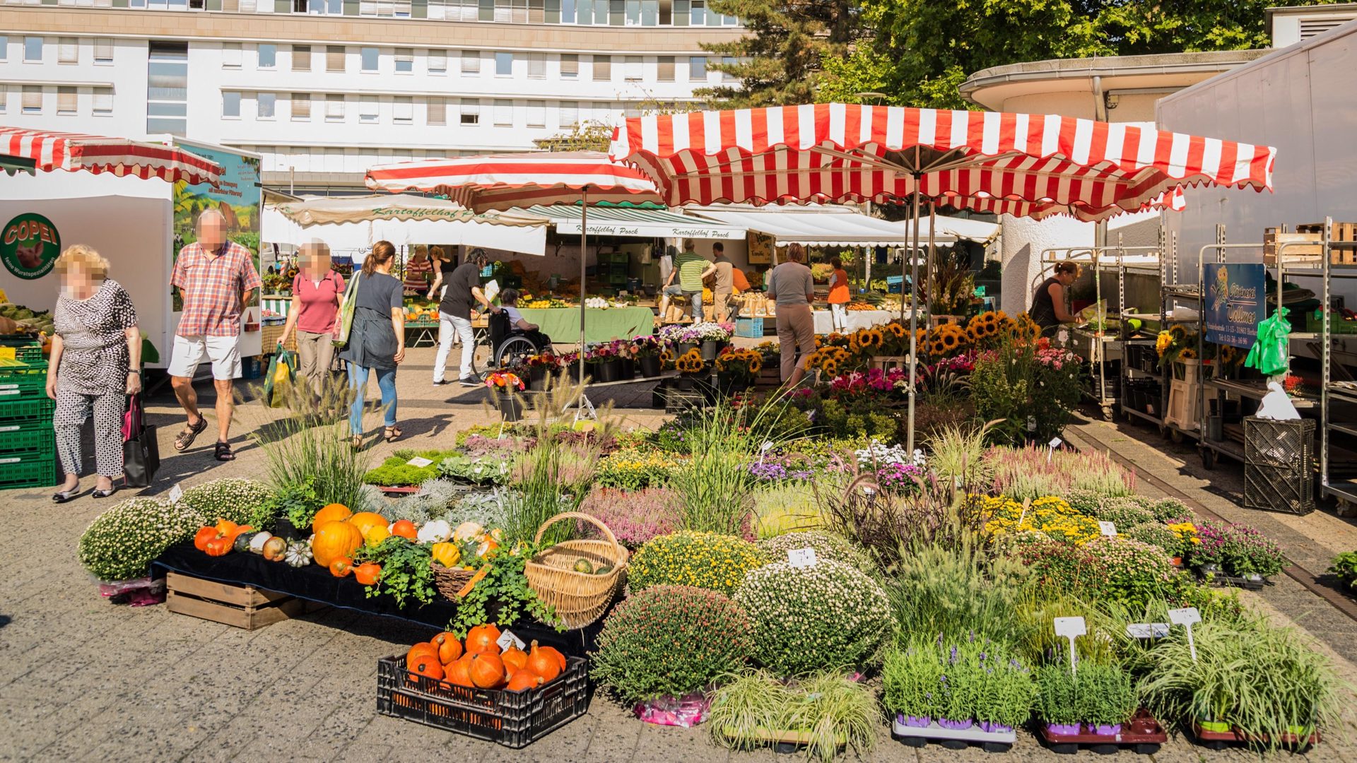 Hamelner Wochenmarkt