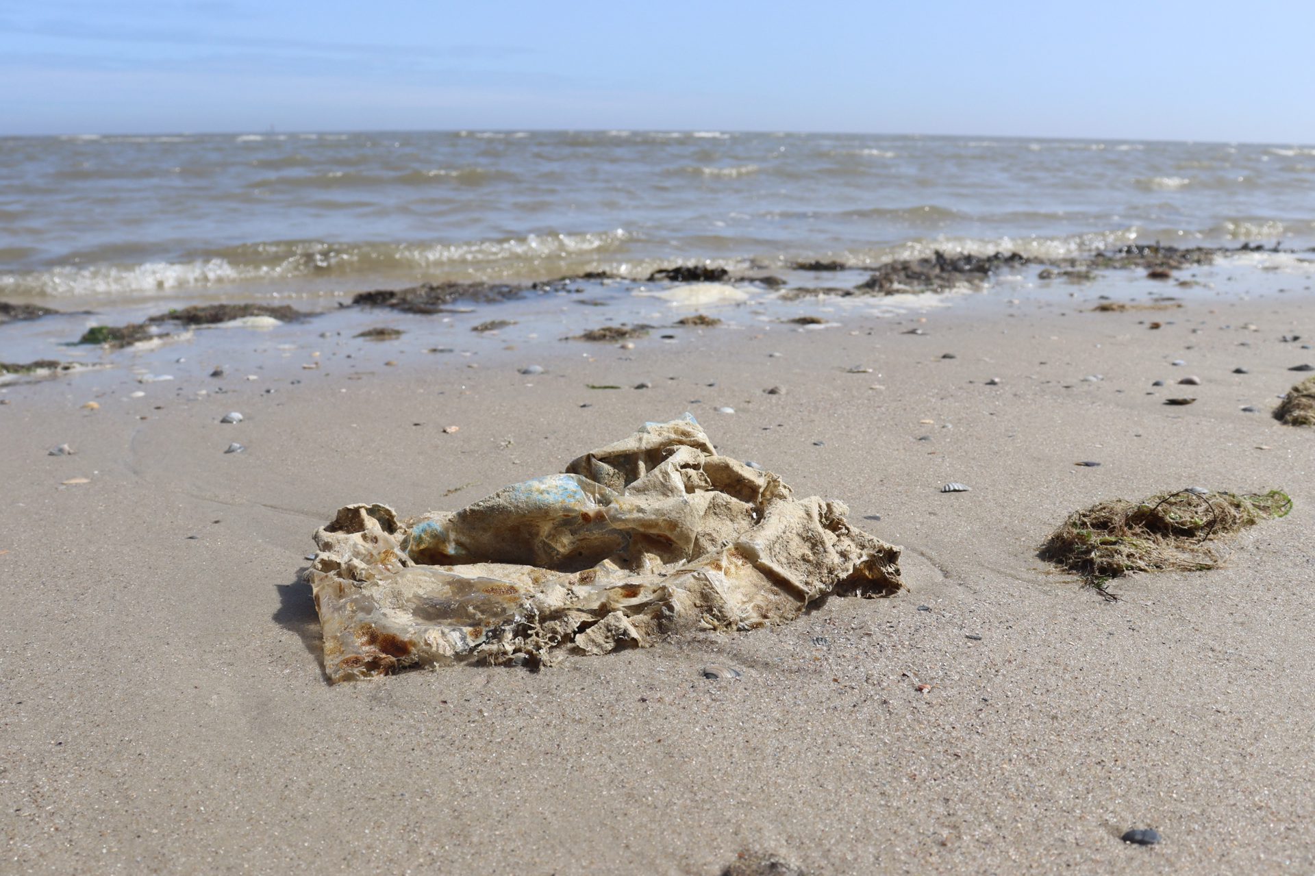 Müll im Meer - Wo kommt er her, wo landet er? (ab 6 Jahren)