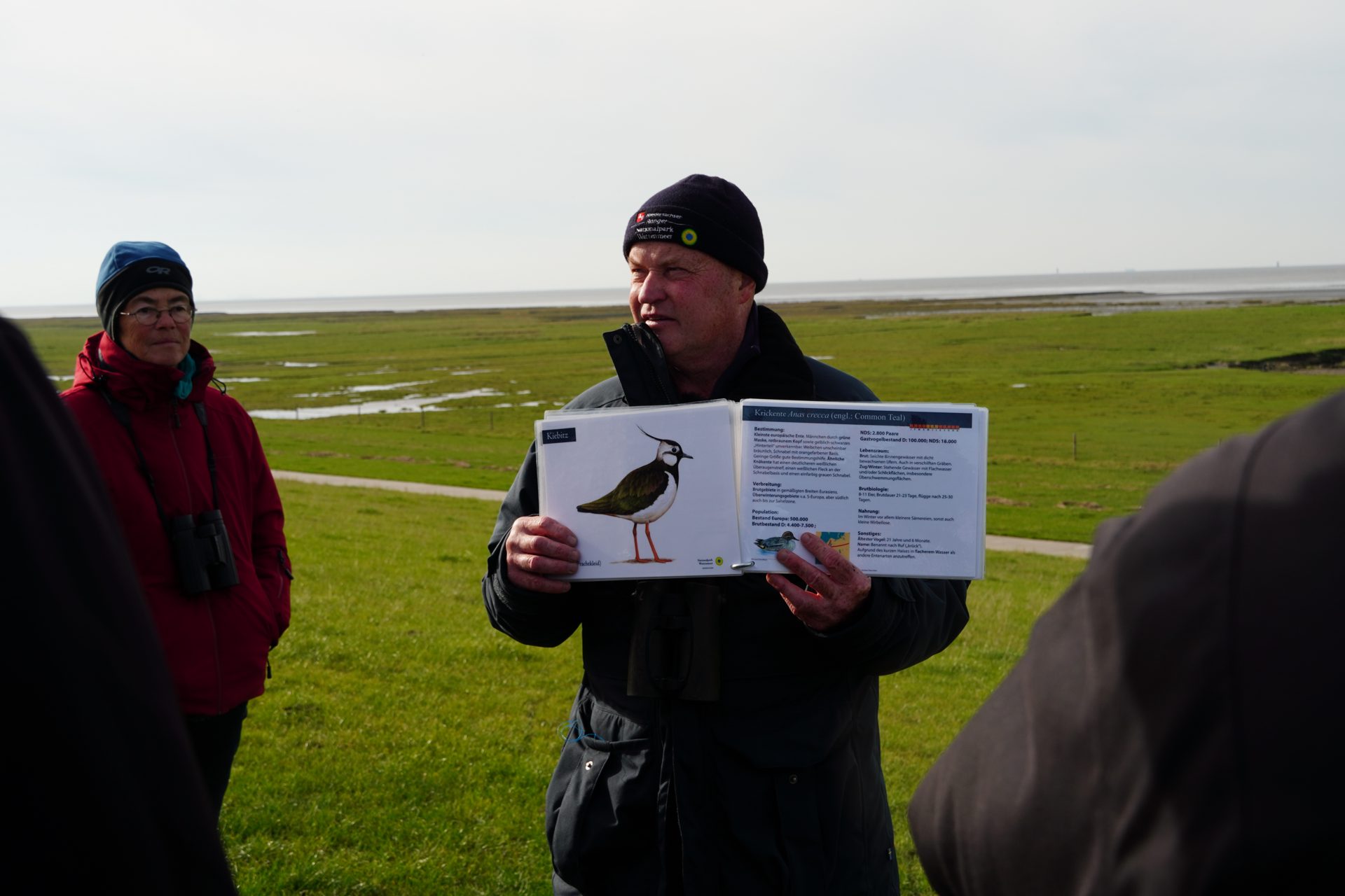 Mit dem Nationalpark-Ranger zu den Zugvögeln an der Wurster Nordseeküste