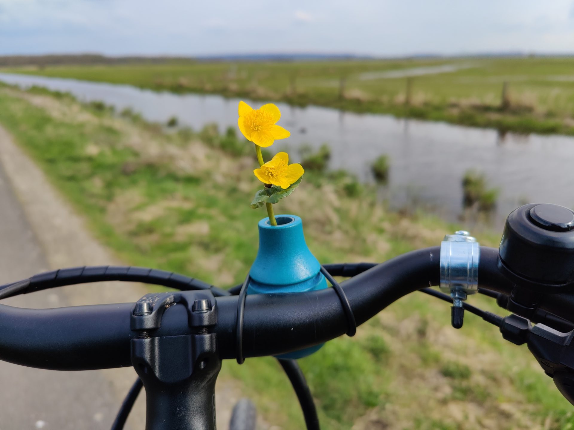Geführte Radtour - Auf zu den Kranichen im Rehdener Geestmoor