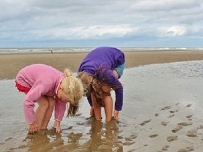 Kids im Watt