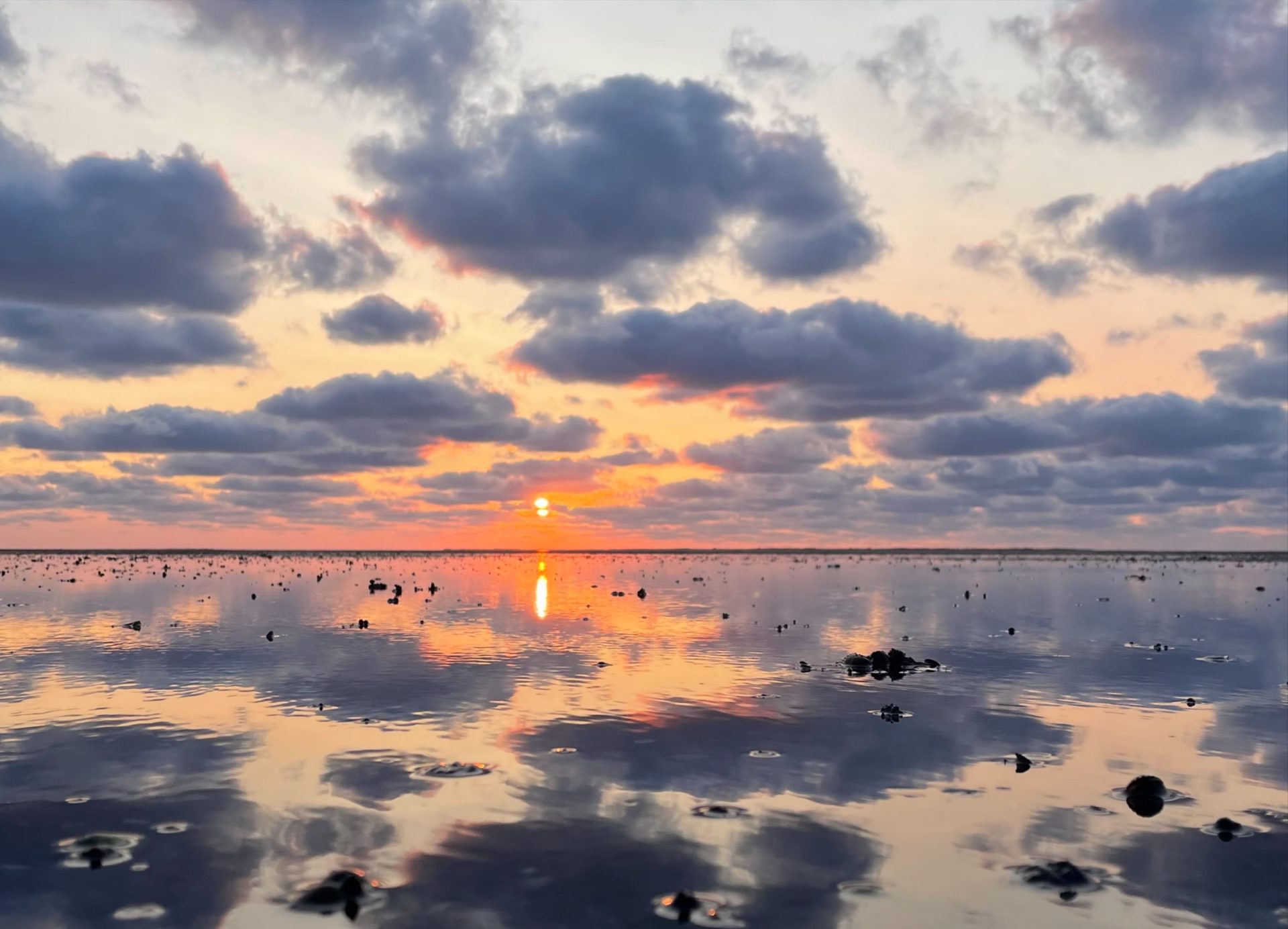 Nationalpark-Wattwanderung: Klimawandel im Wattenmeer