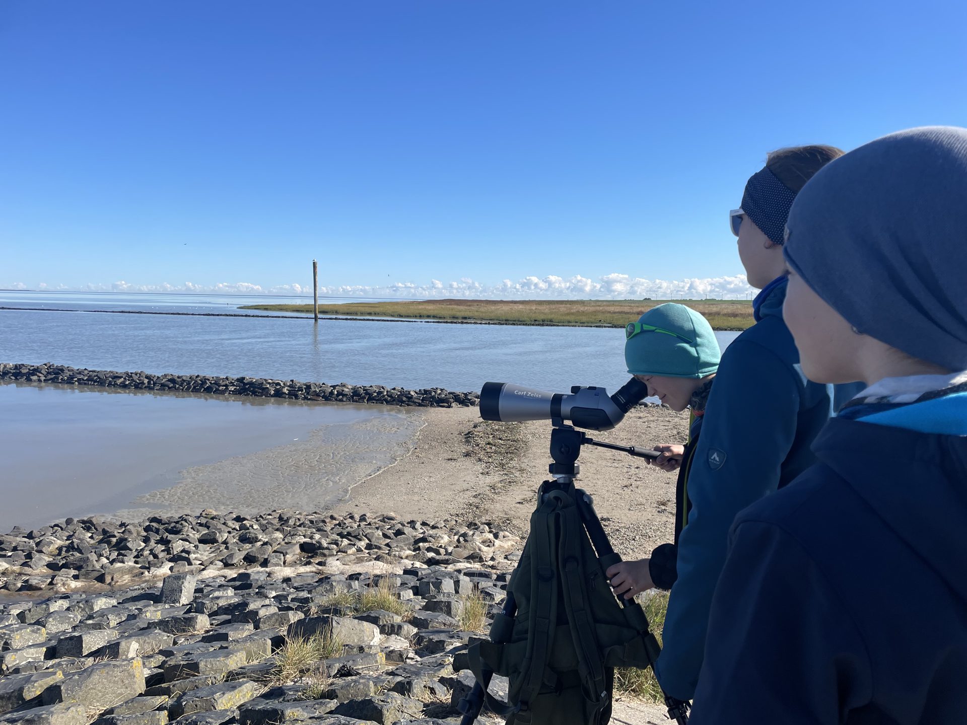 Nationalpark-Vogeltour