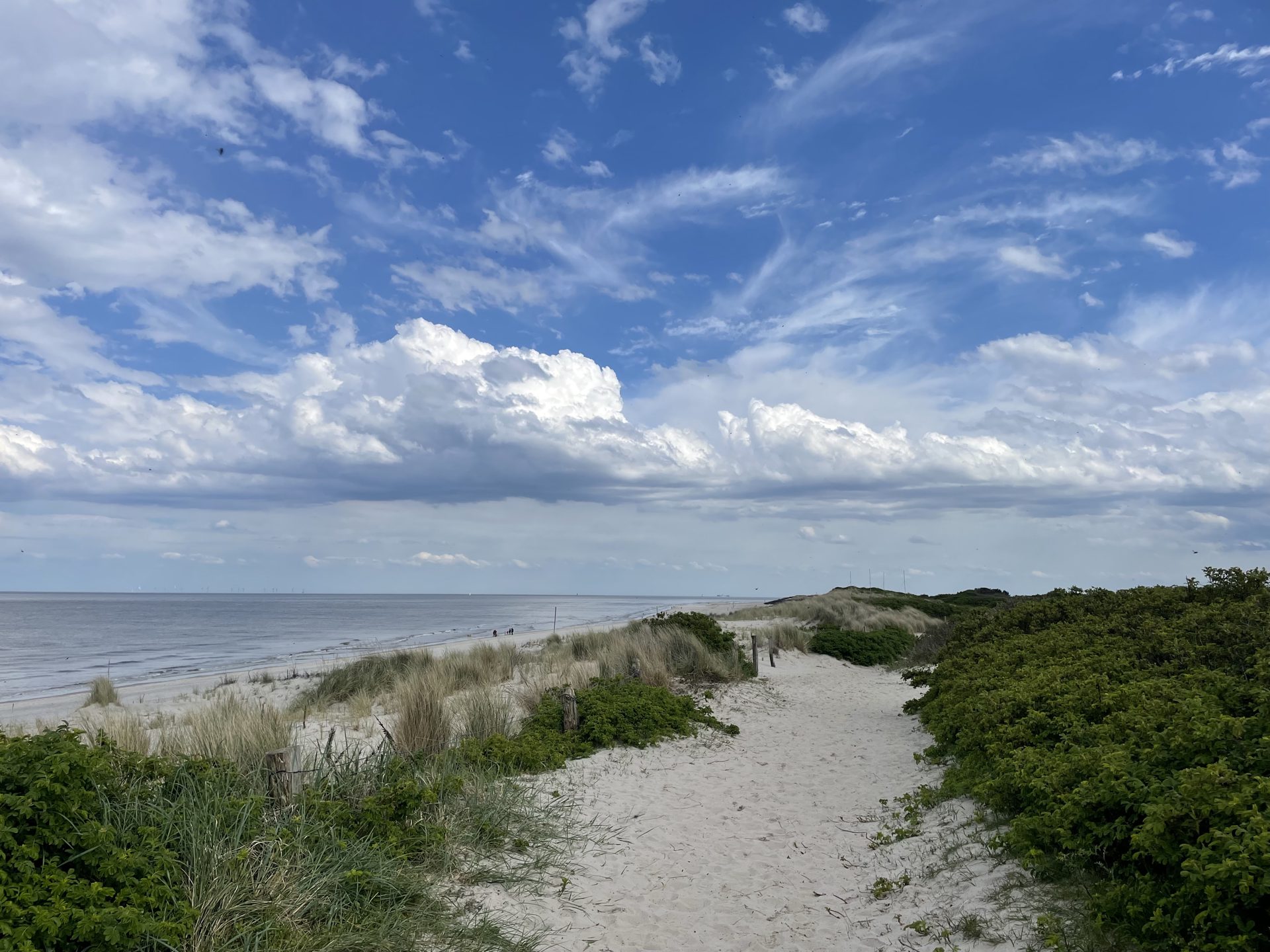 Nationalpark-Inseltour: Wangerooges Lebensräume