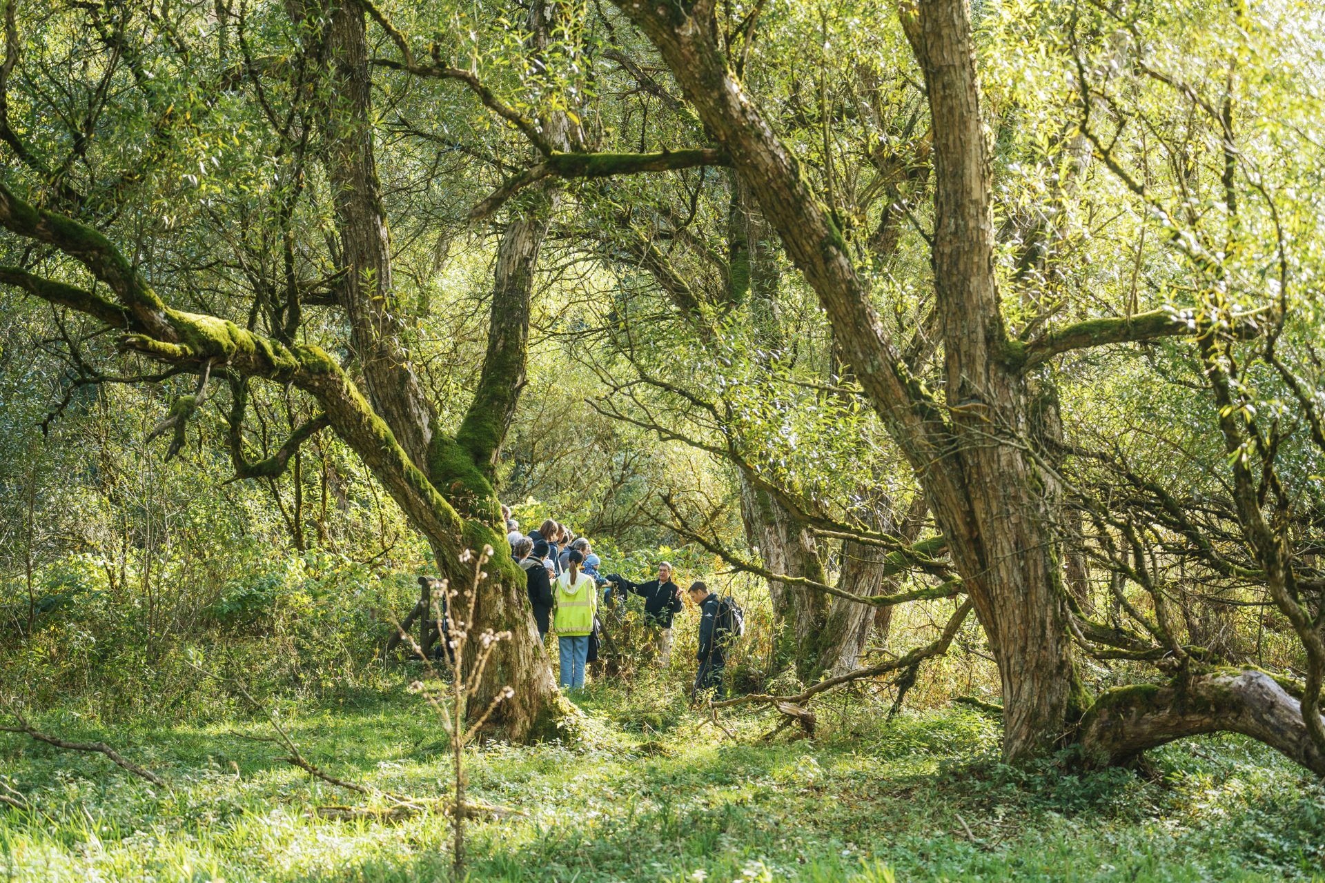 Entdeckungstour "Braunlager Berglandschaft"