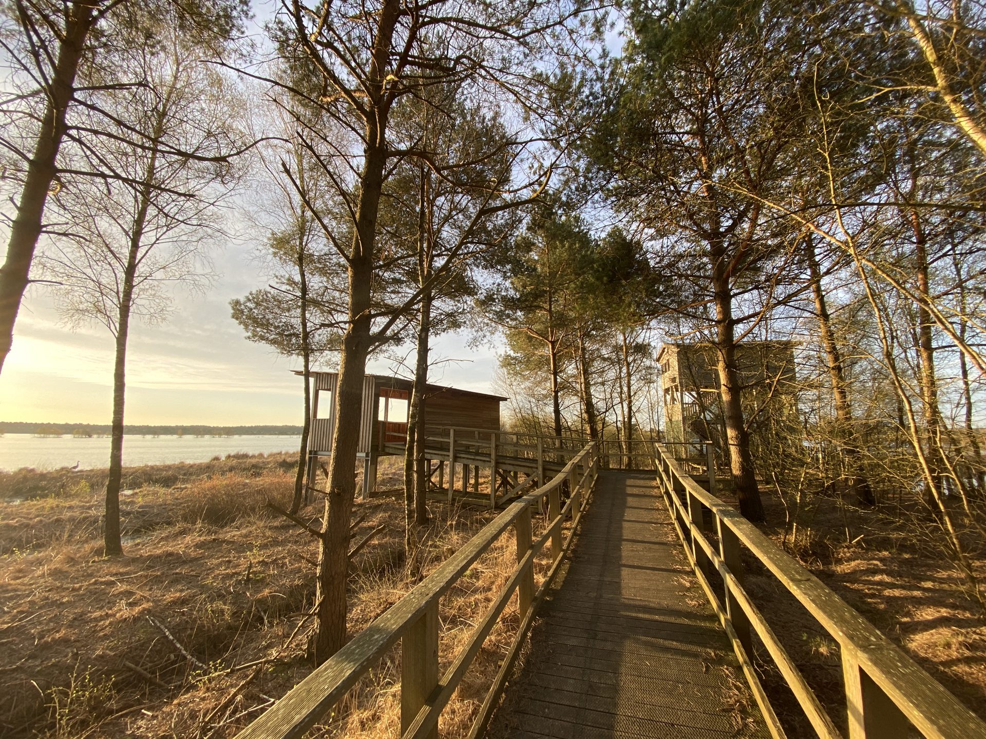 Planmäßige Moorbahnfahrten ins Tister Bauernmoor