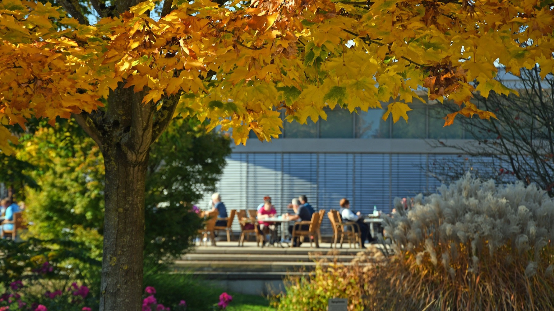 Sonderöffnung: Herbstimpressionen im Park