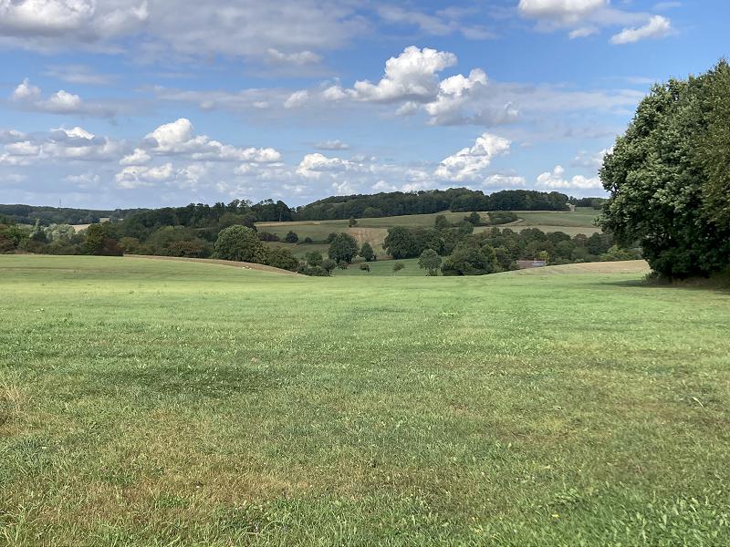Meller Naturführungen - Waldexkursion mit "Weitblick"