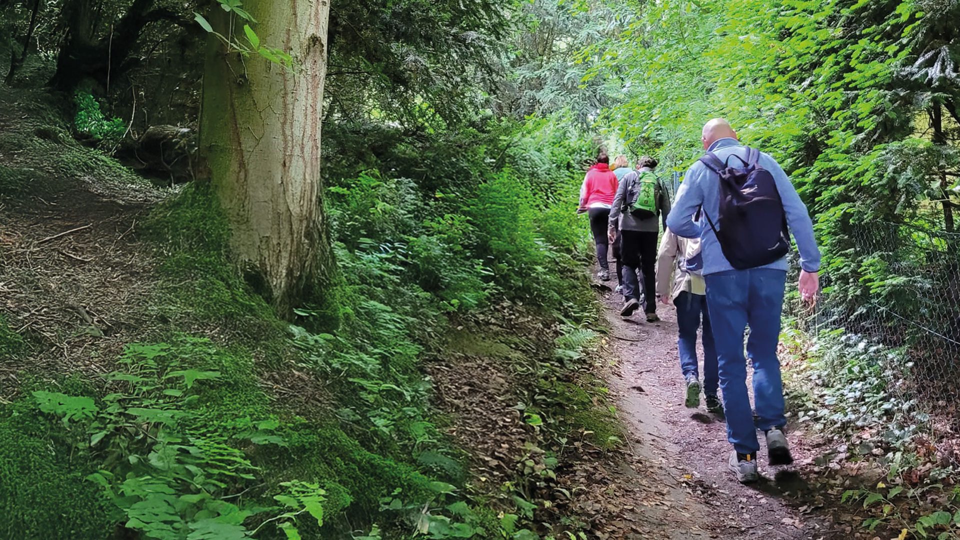 Gesundes und bewusstes Wandern
