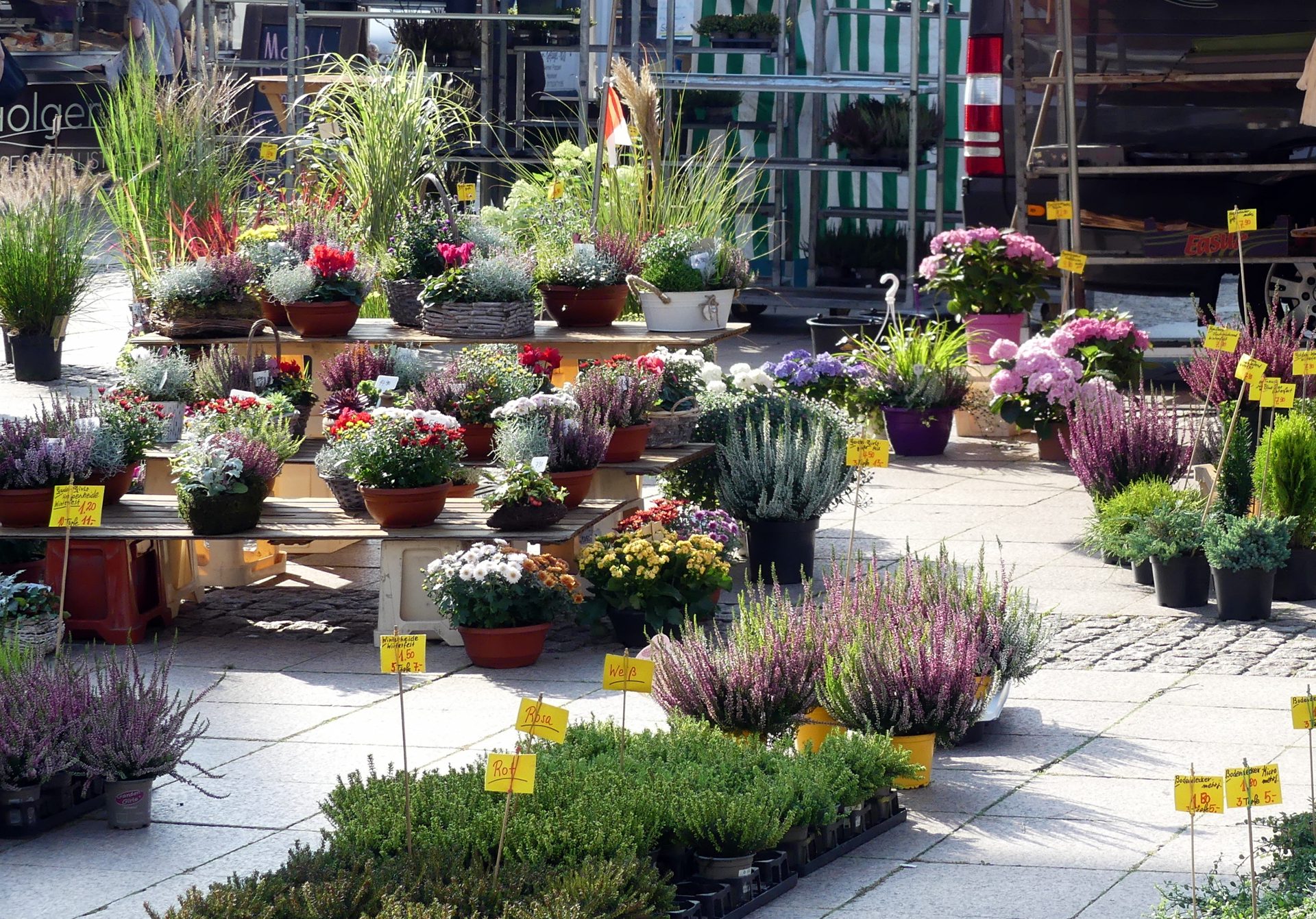 Auricher Wochenmarkt