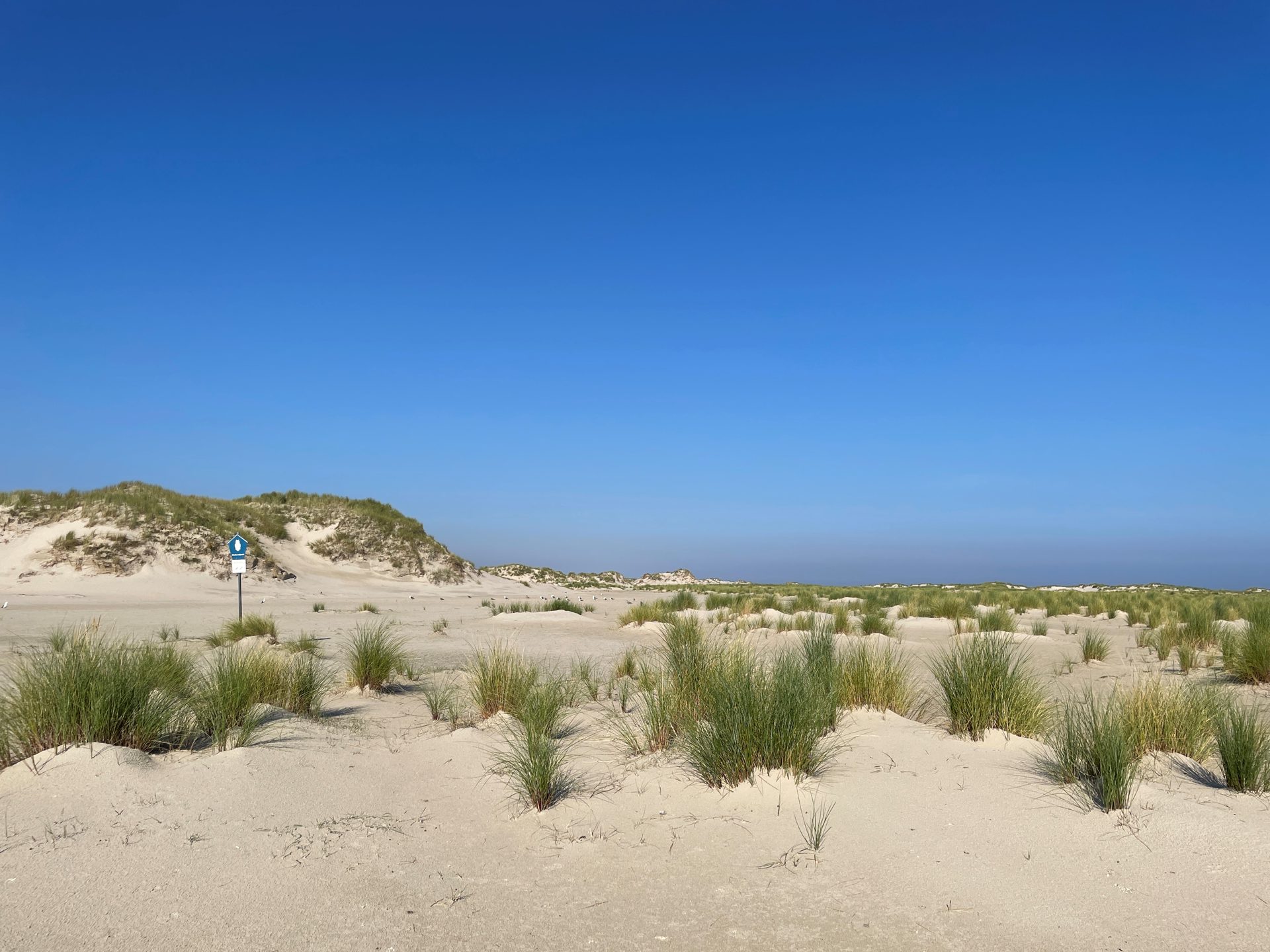 Nationalpark-Geburtstag: Wie 40 Jahre wirken