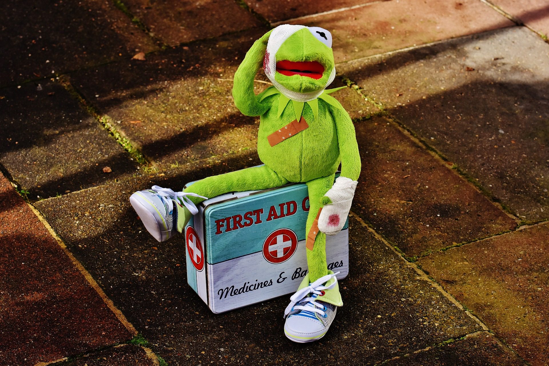 Erste-Hilfe-Kurs für Kids - Horumersiel