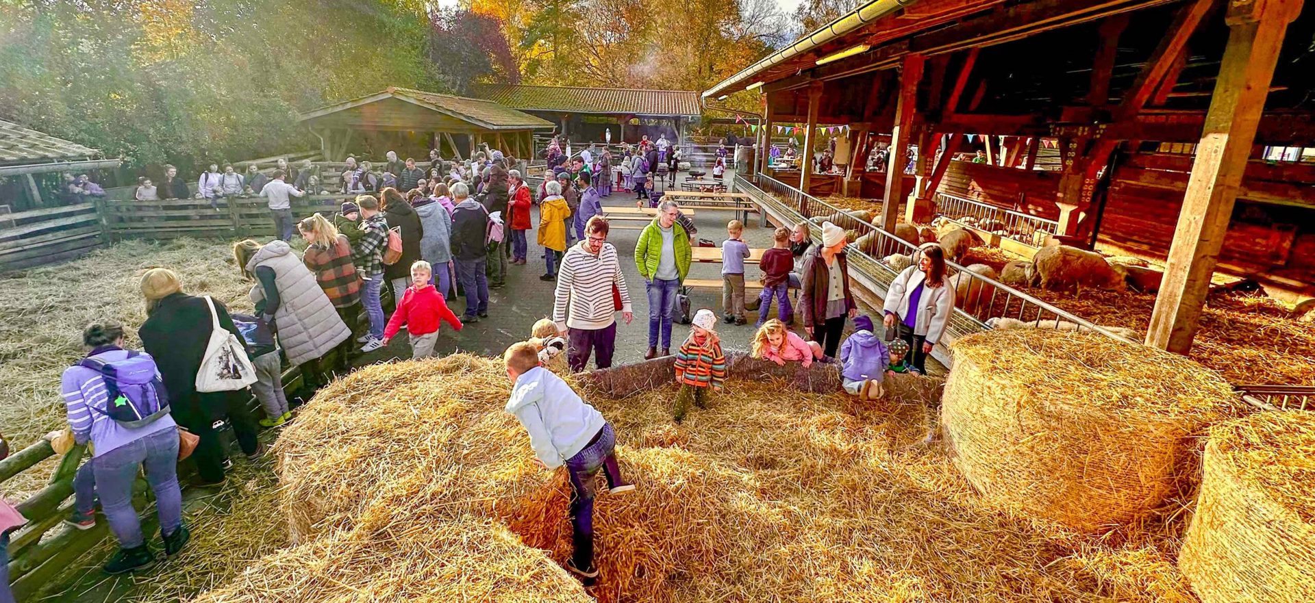 Hoffest im Herbst