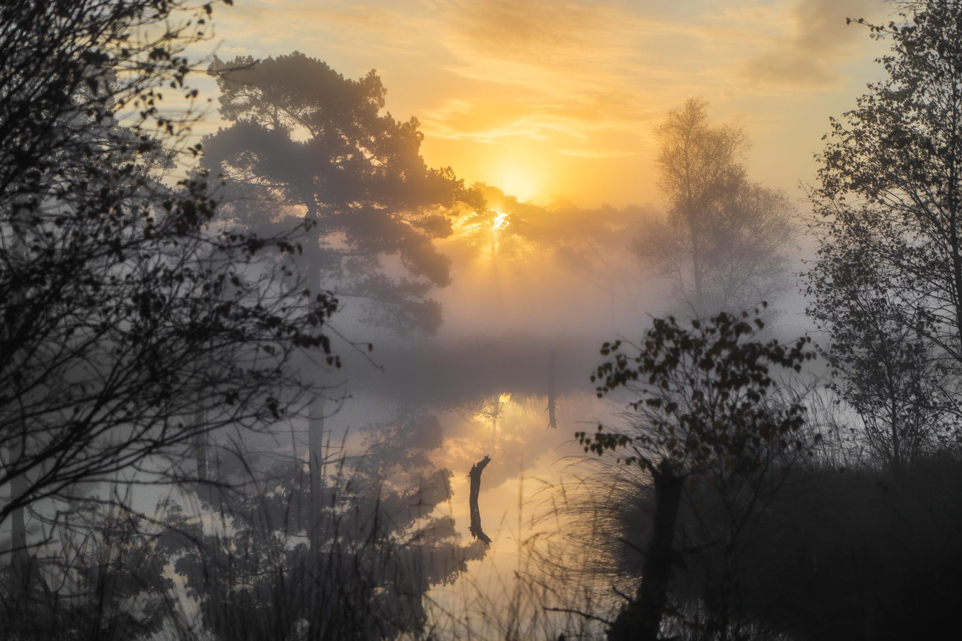 Morgendliche Wanderung durch das Pietzmoor