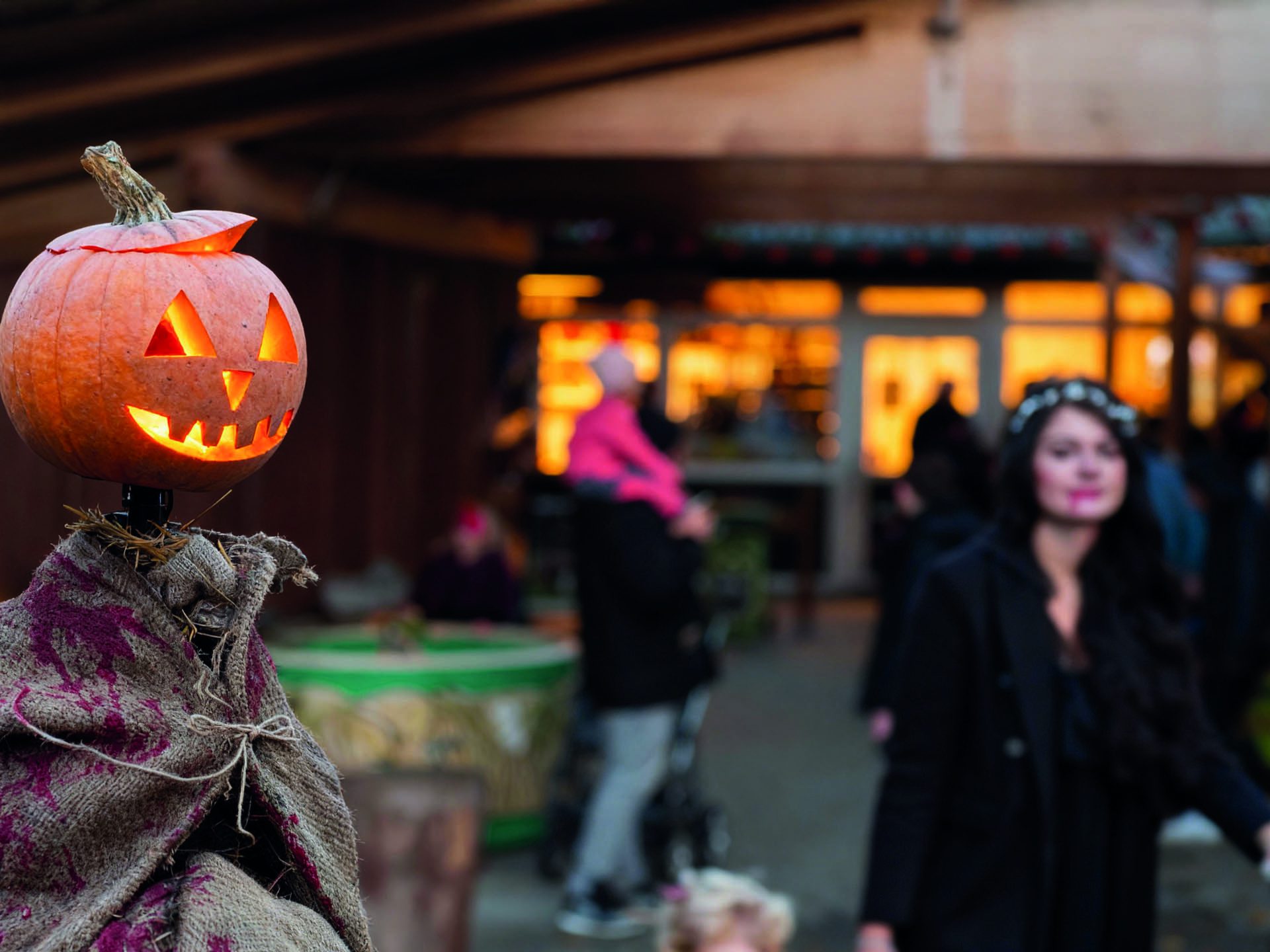 Halloween im Wingster Waldzoo