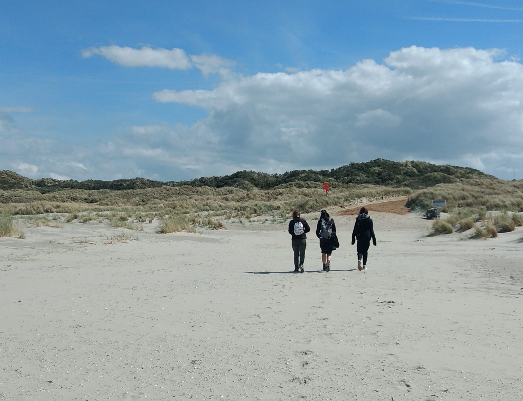 Juist in Bewegung - naturkundliche Fahrradtour in den Osten