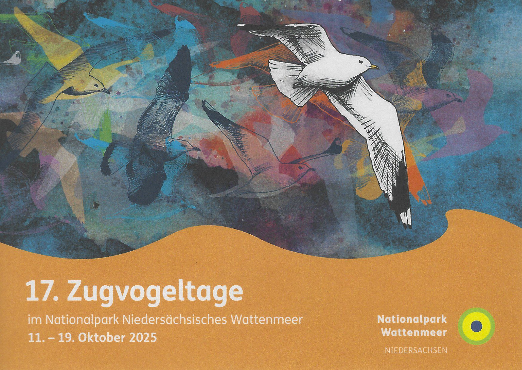 Die Top 5 der Zugvögel im Nationalpark Wattenmeer