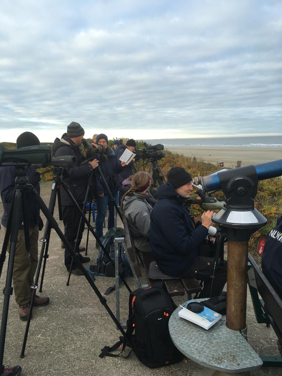 Seawatching