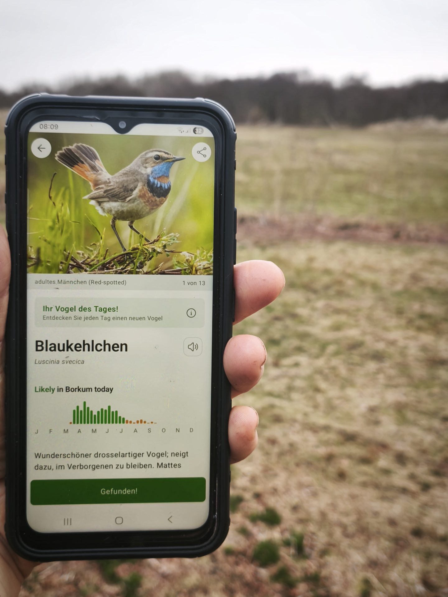 KI-Safari: Mit dem Smartphone in der Greunen Stee nach Vogelstimmen horchen