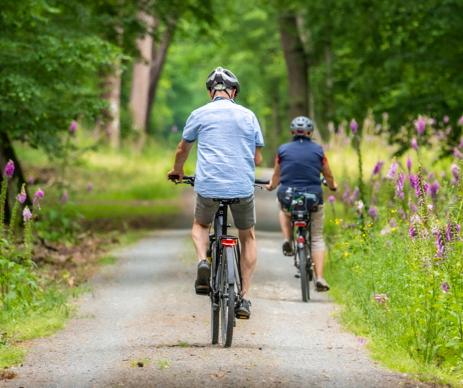 Geführte Radtour durch Wald, Moor & Heide