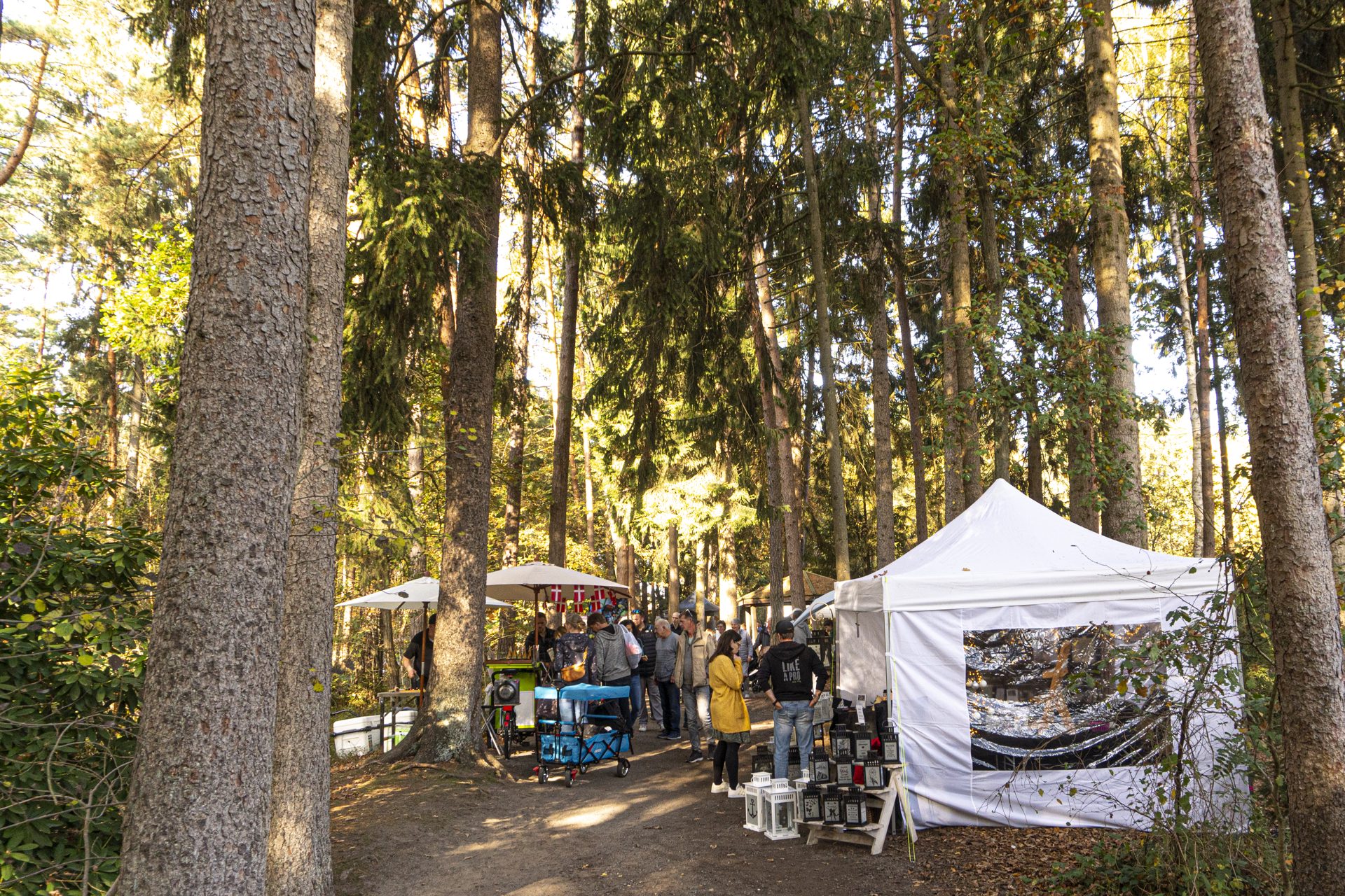 Herbstmarkt im Wildpark Müden am 24. und 25. Oktober 2026