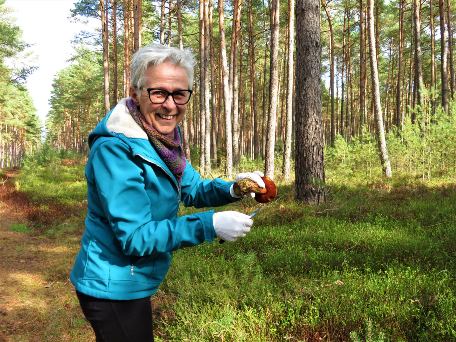 Pilze suchen und bestimmen im Suderburger Land