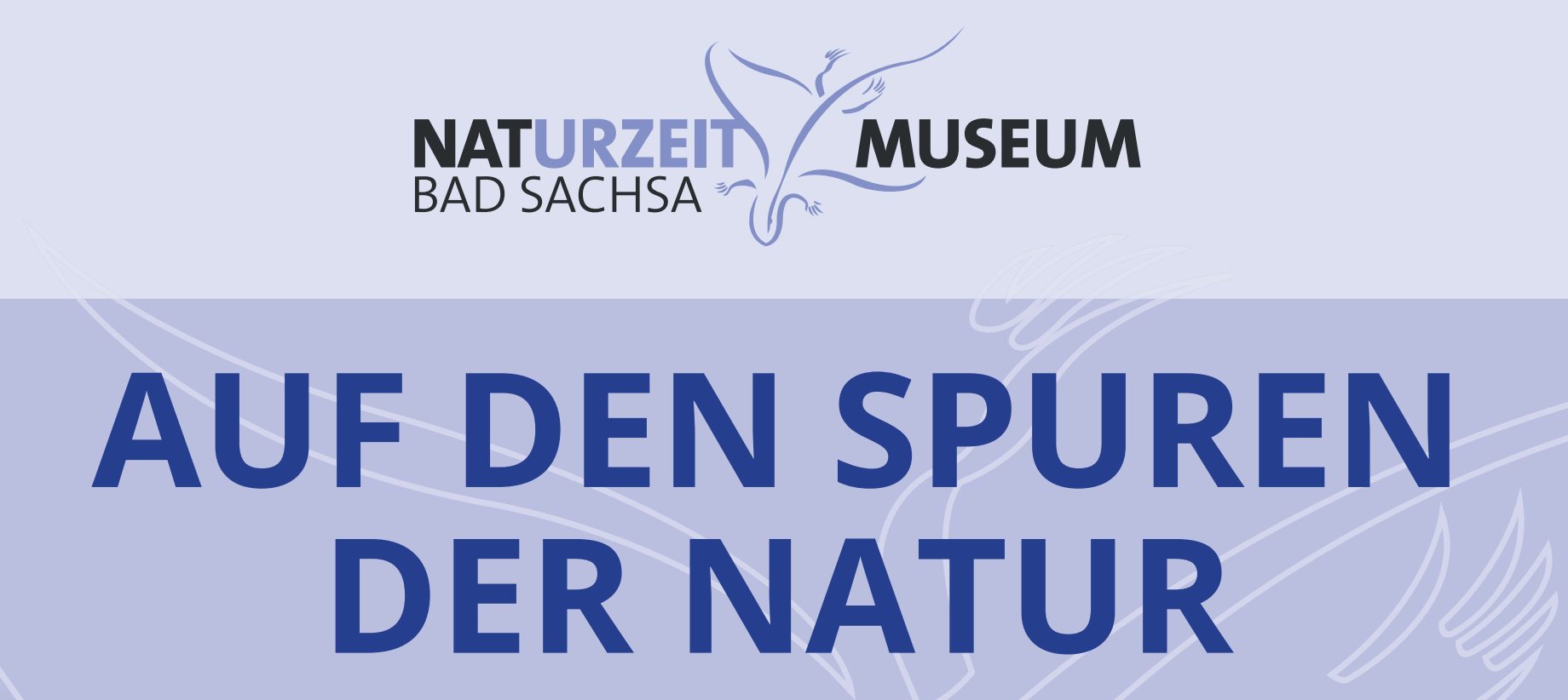 Auf den Spuren der Natur: Führung durch das NatUrzeitmuseum
