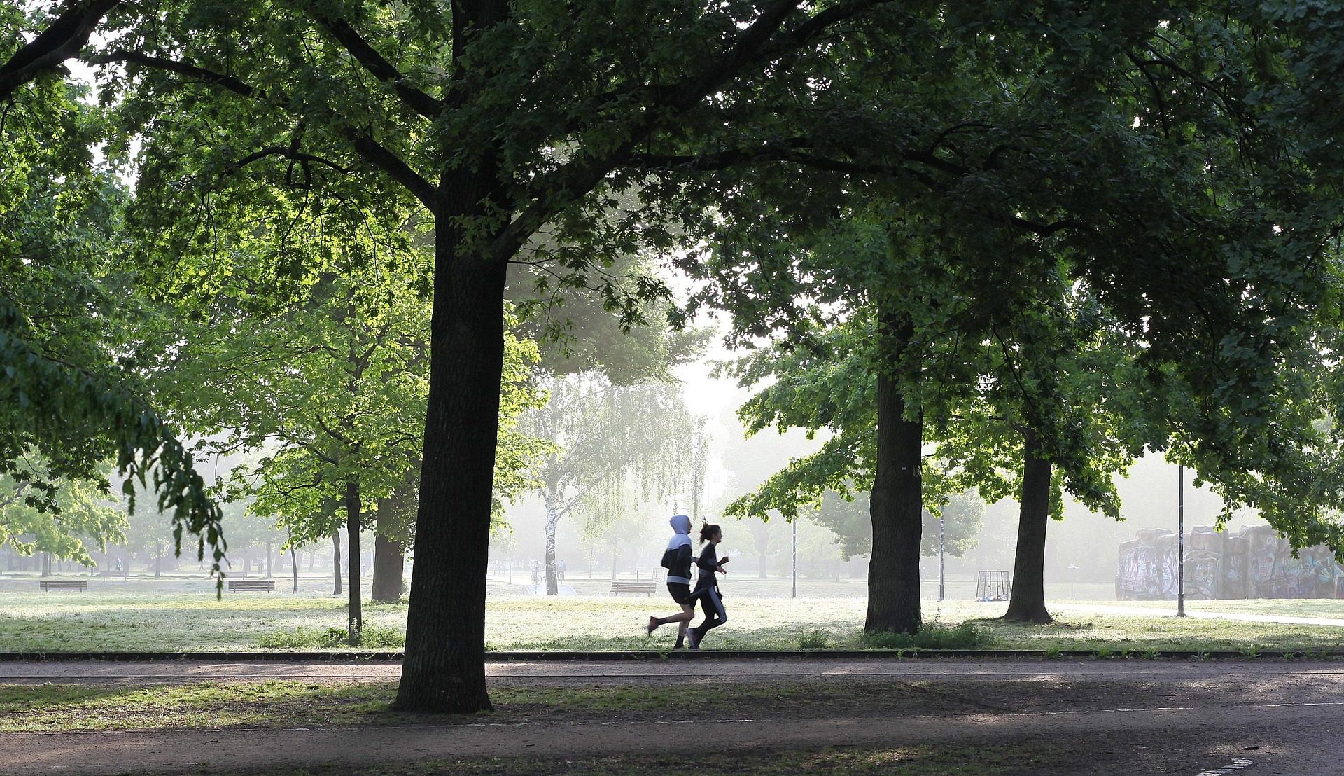 Königshof parkrun Sittensen