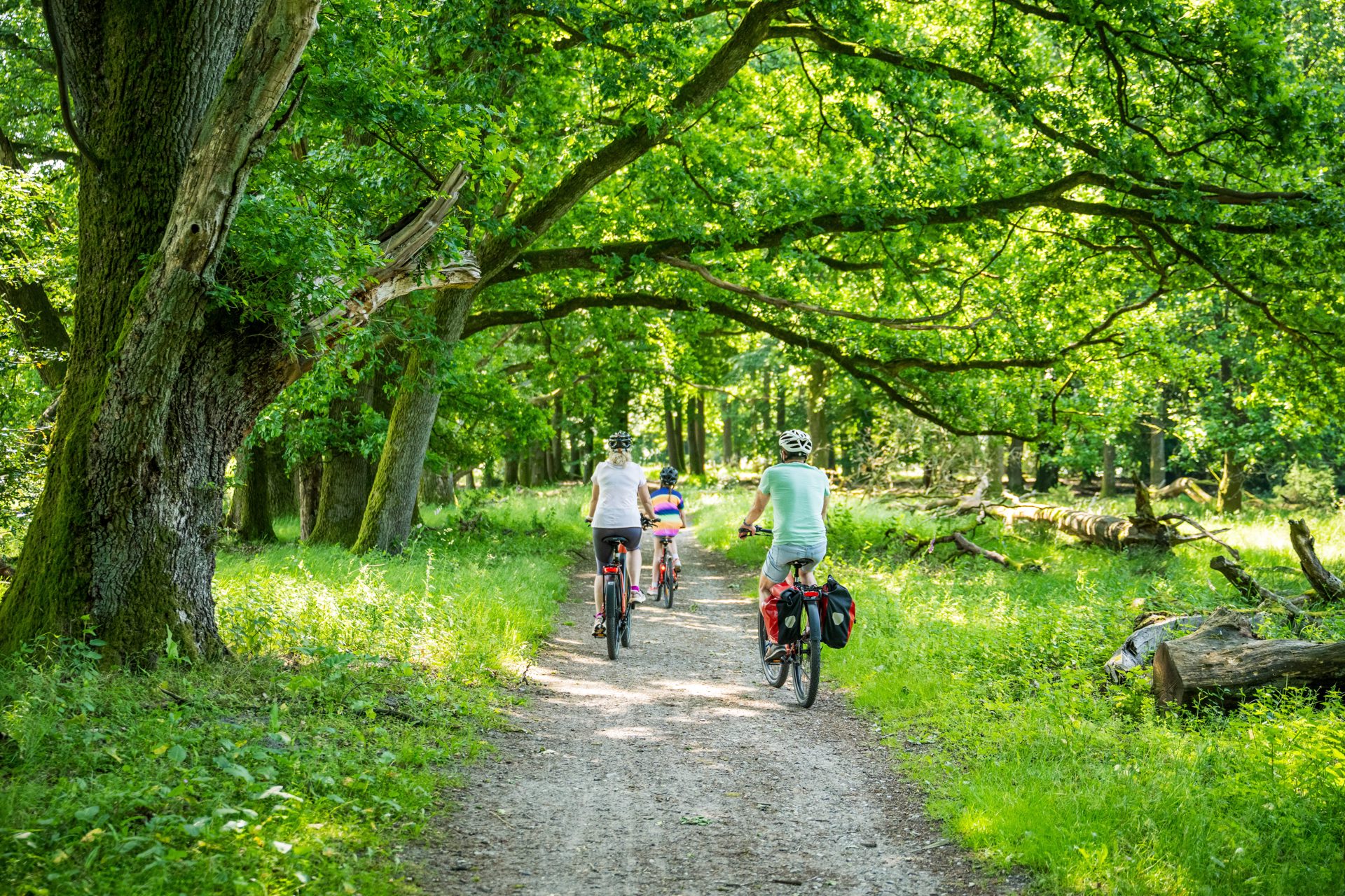 Naturpark-Erlebniswochen: Energie-Hunger-Fahrradtour