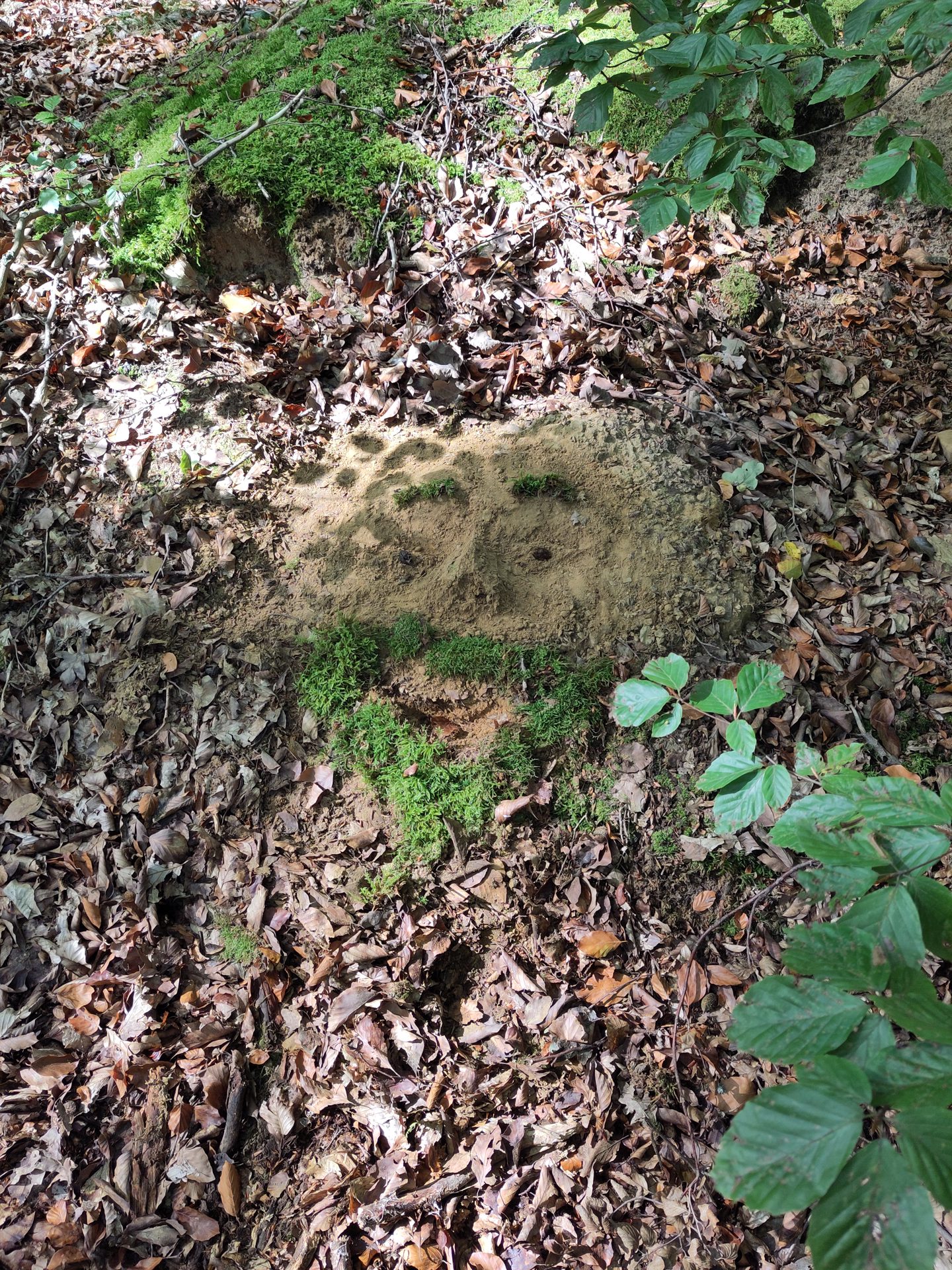 Mitmachaktion: LandArt