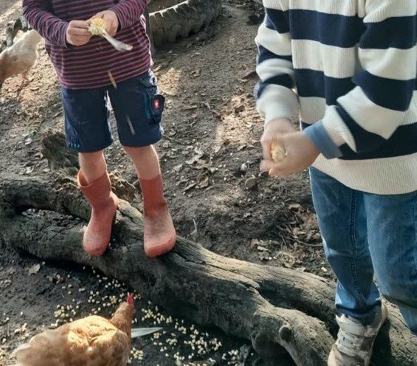 Bauernhof & Fun für 5 - 10 Jährige auf Hof Schatteburg - Herbstspezial