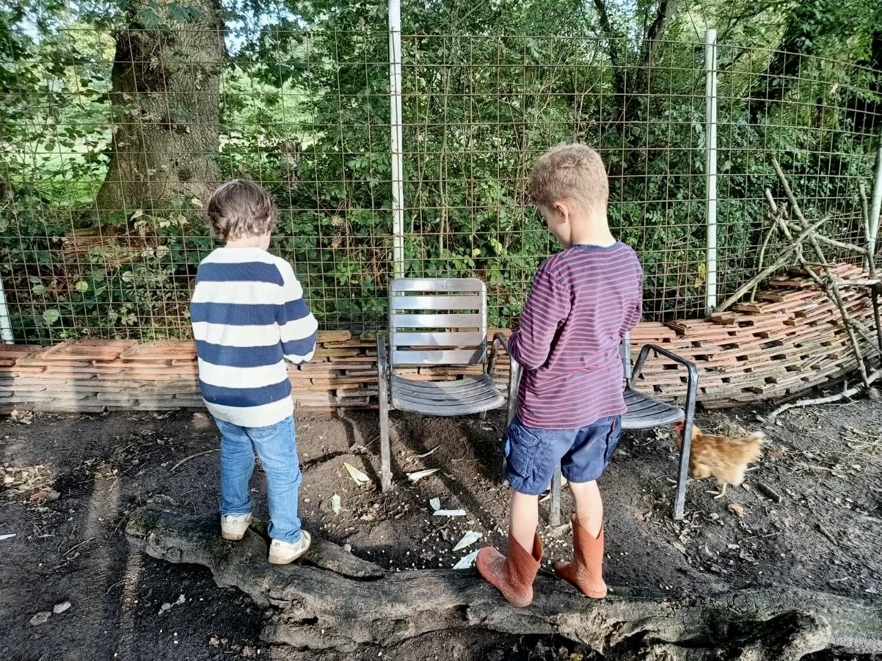 Bauernhof & Fun für Kinder mit Begleitung auf Hof Schatteburg - Herbstspezial