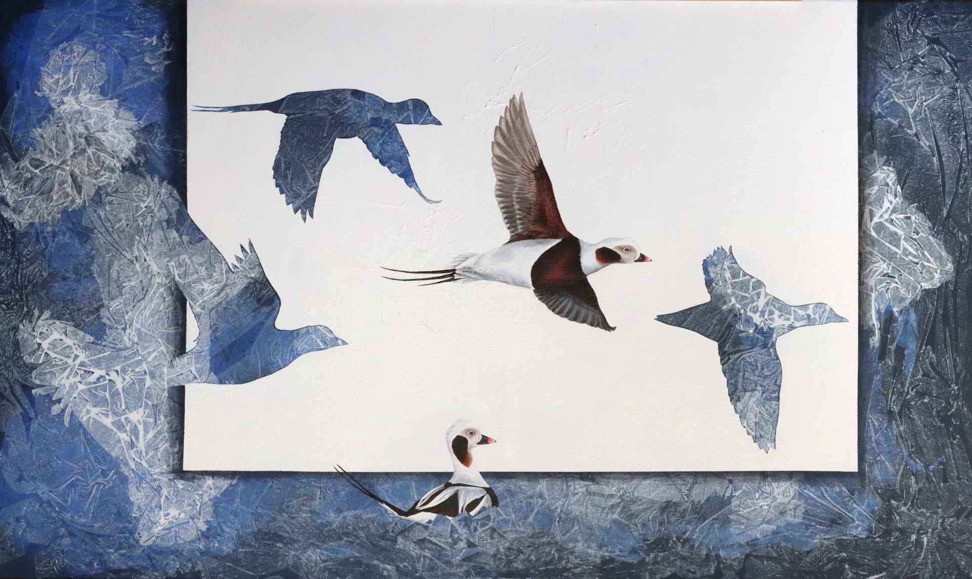 Corinna Langebrake: Eine Vogelmalerin zwischen Kunst und Wissenschaft