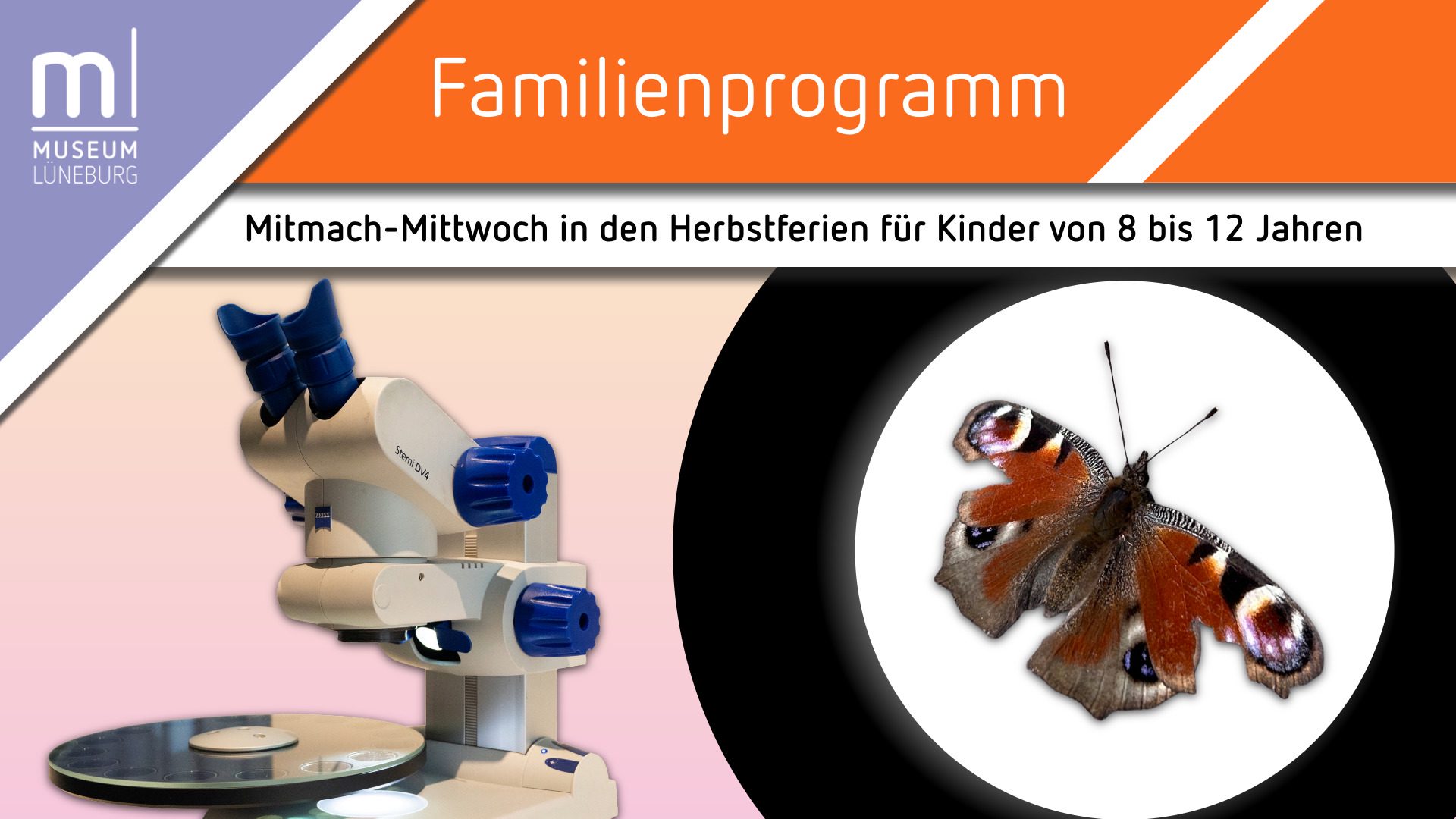Mitmach-Mittwoch "Mikroskopier-Workshop" – Kleine Wunder ganz groß