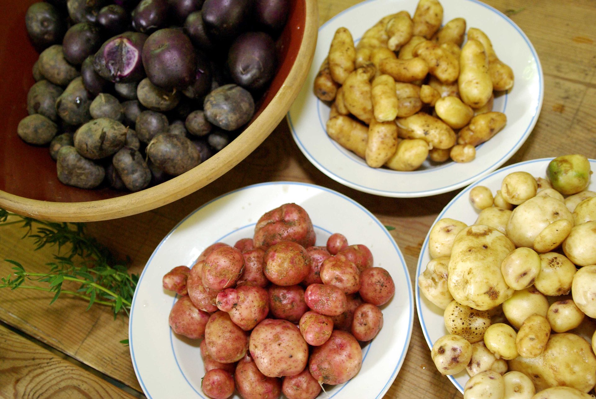 "Apfel- und Kartoffeltag" im Freilichtmuseum am Kiekeberg