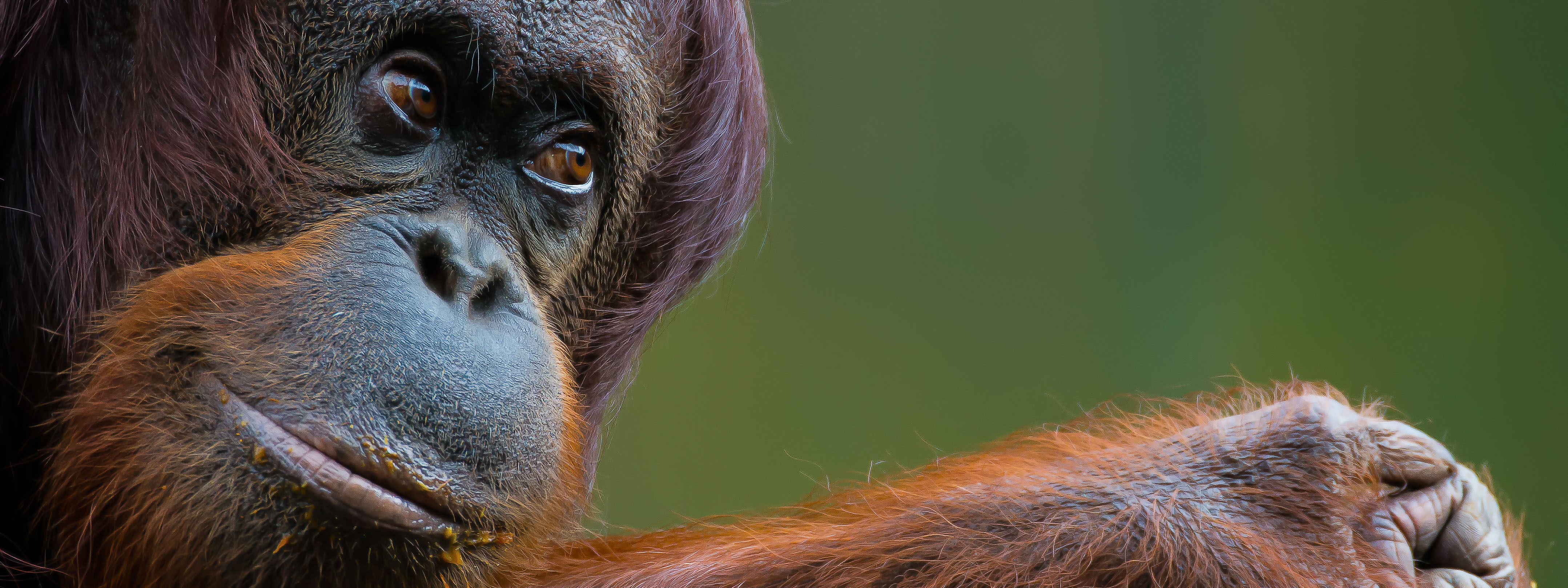Vernissage der Ausstellung „Tierische Momente“