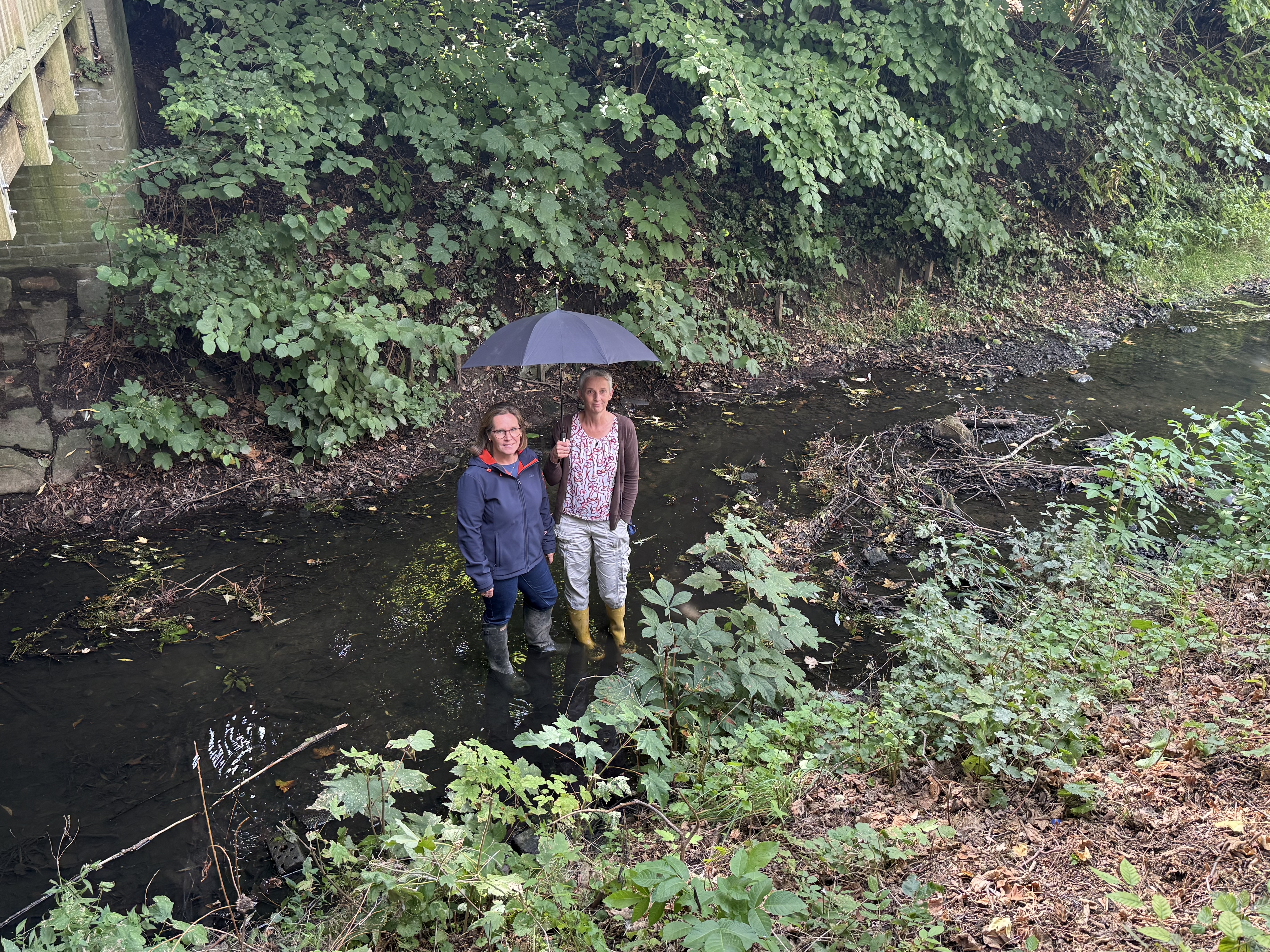 Klimaanpassungs-Spaziergang in Senden