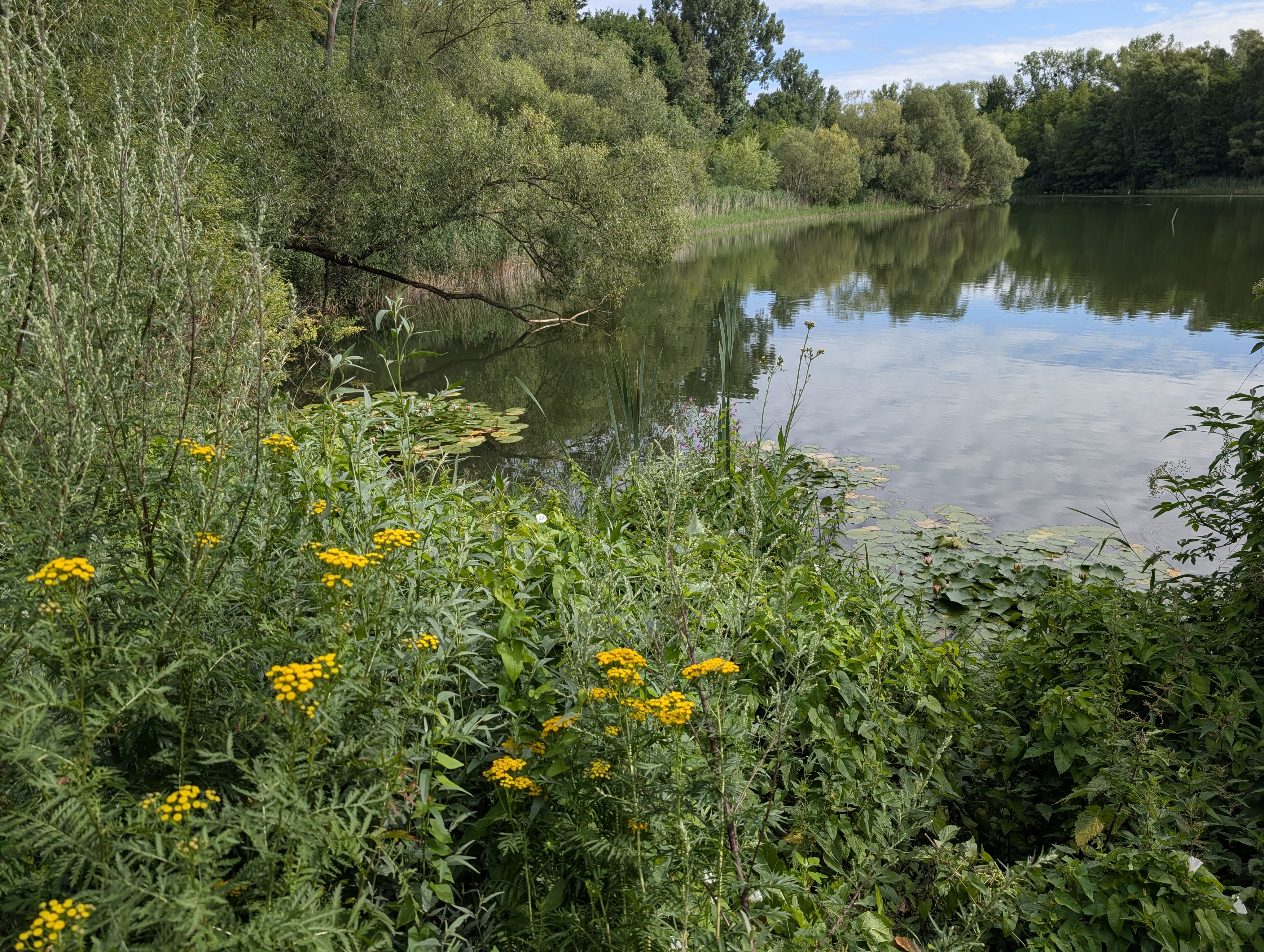 Naturparkfest Barnim erstmals mit Leitthema Wasser im Bernauer Panke-Park