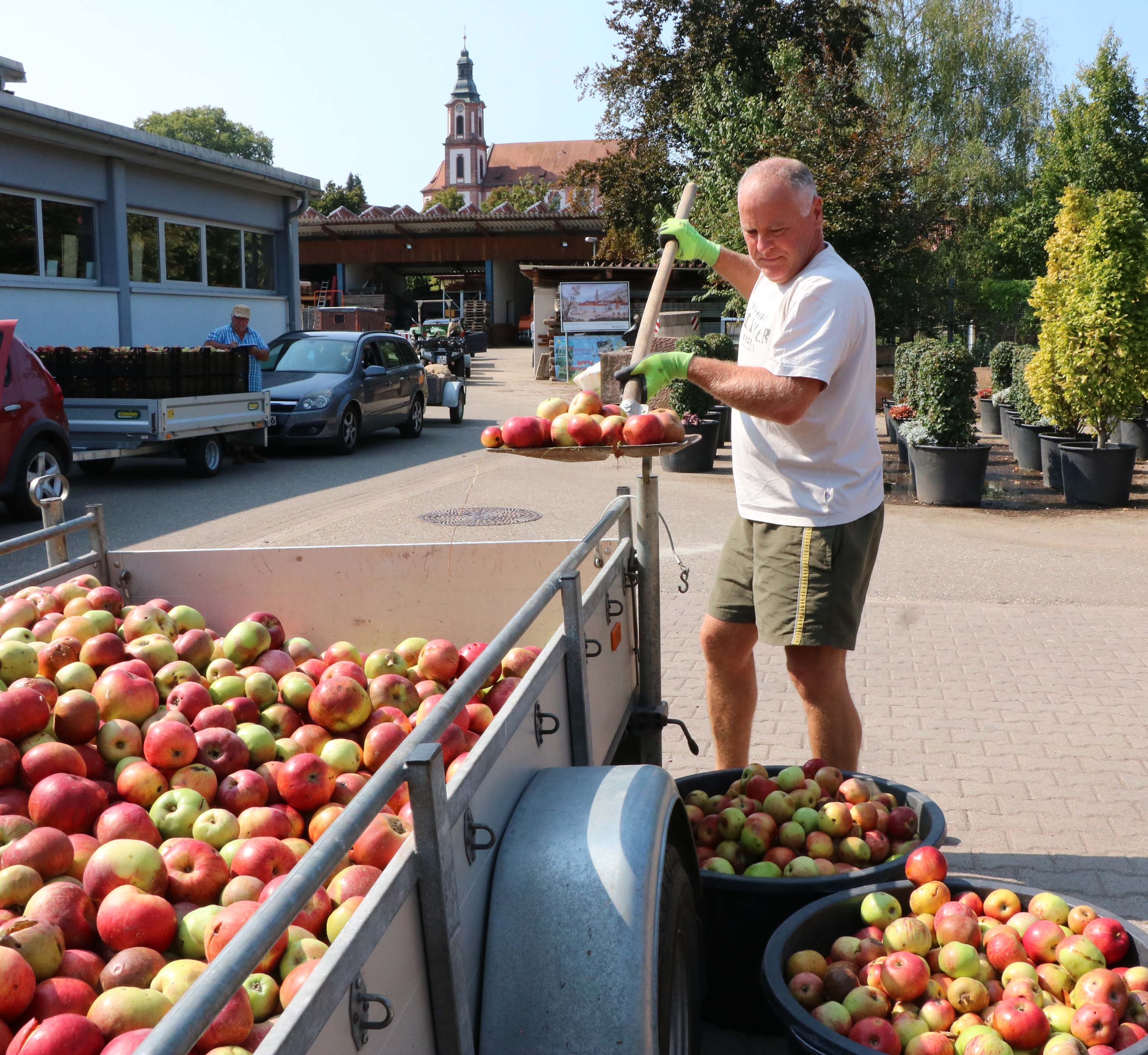Apfelannahme am Bauhof Ettenheim