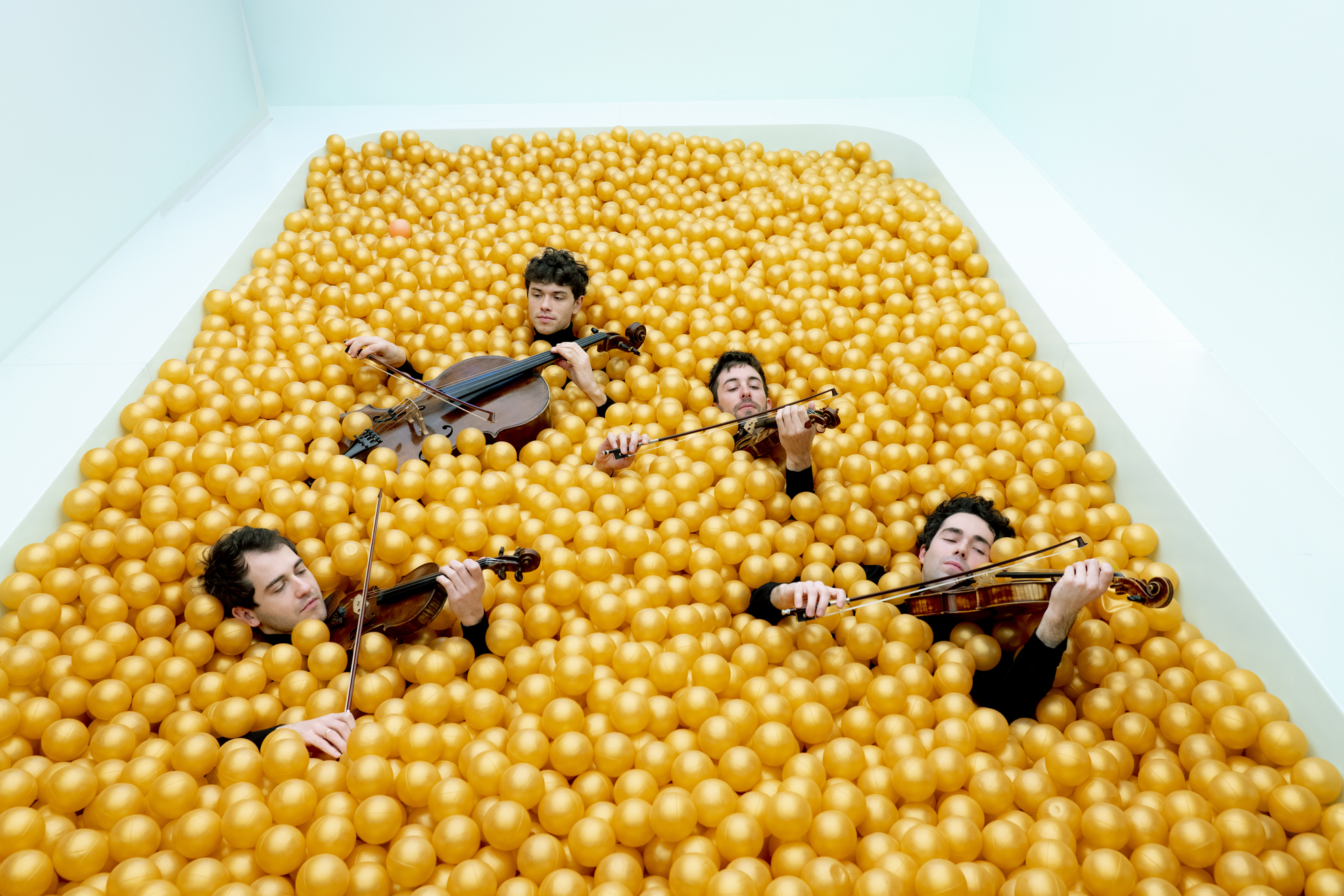 vision string quartet