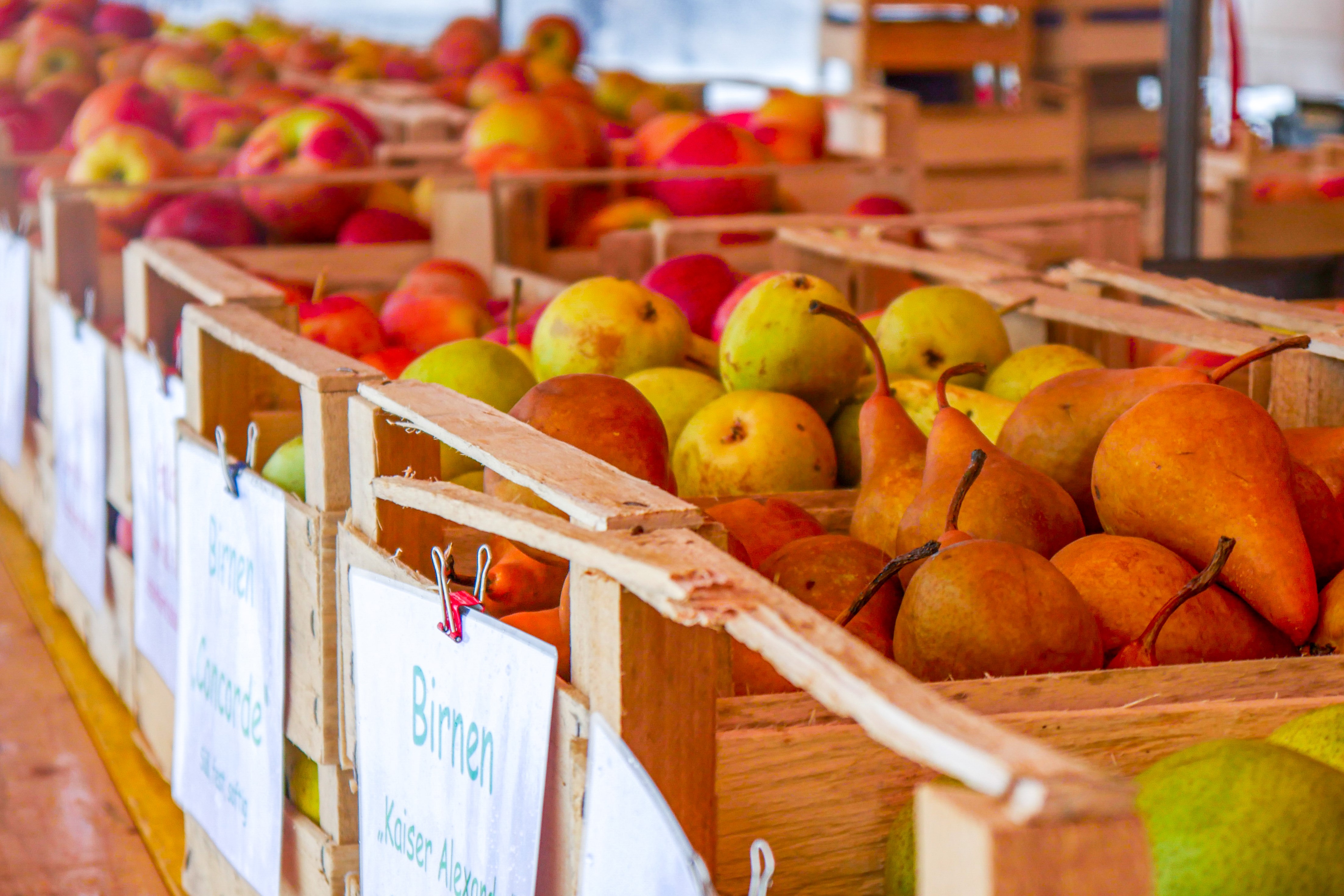 Landauer Wochenmarkt auf Freitag, 2. Oktober vorverlegt