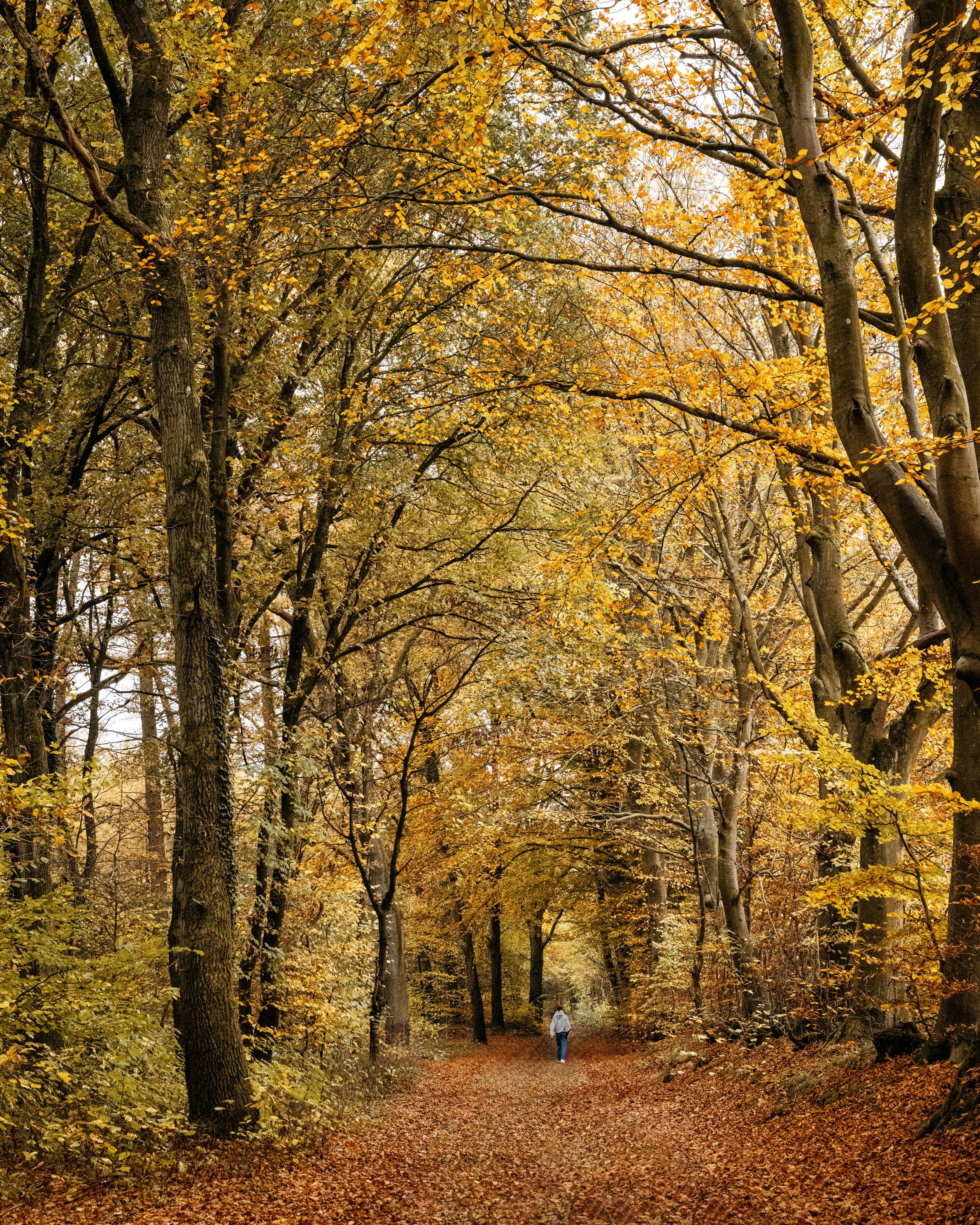 Wanderung „Indian Summer 2026“